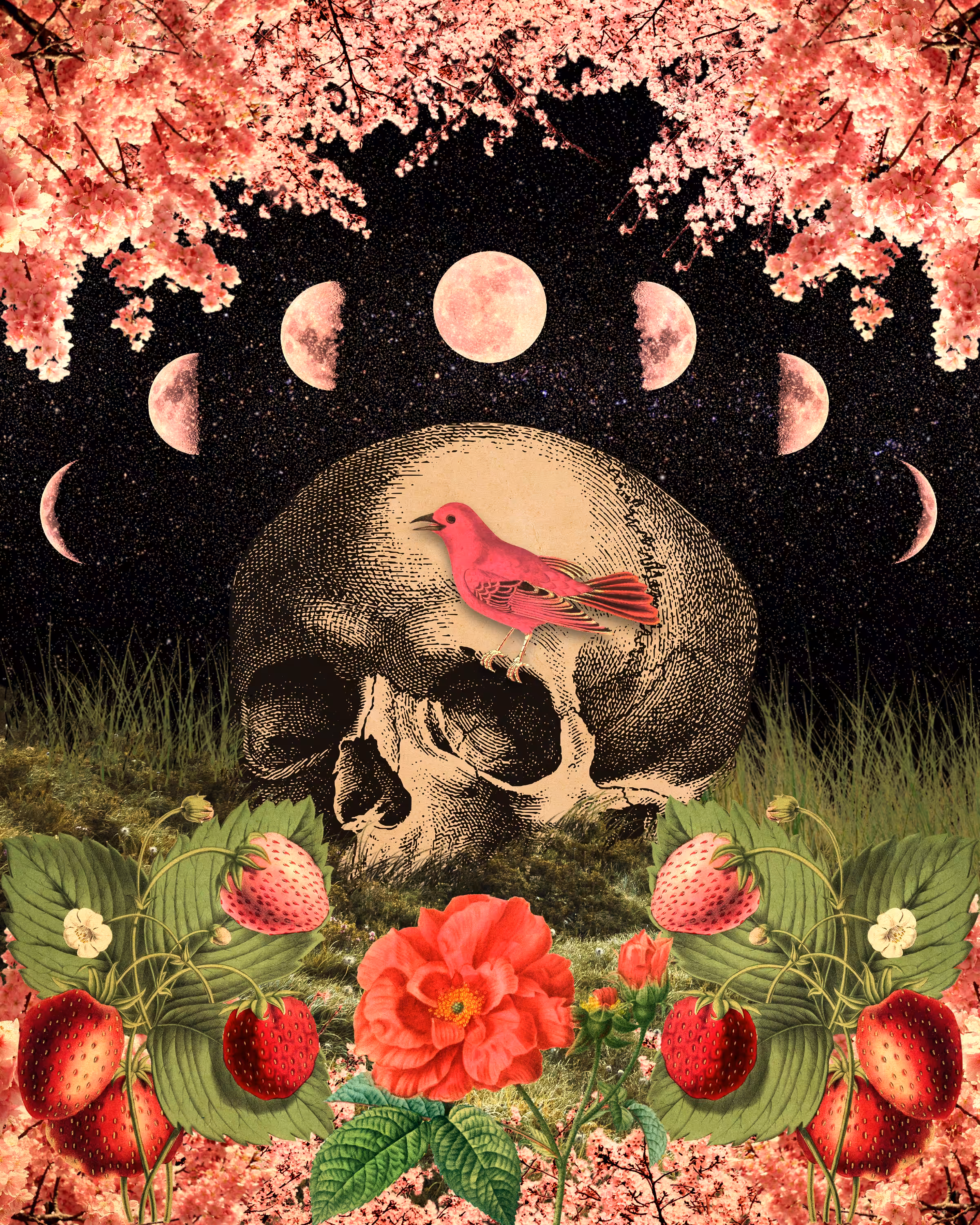 Strawberry Moon