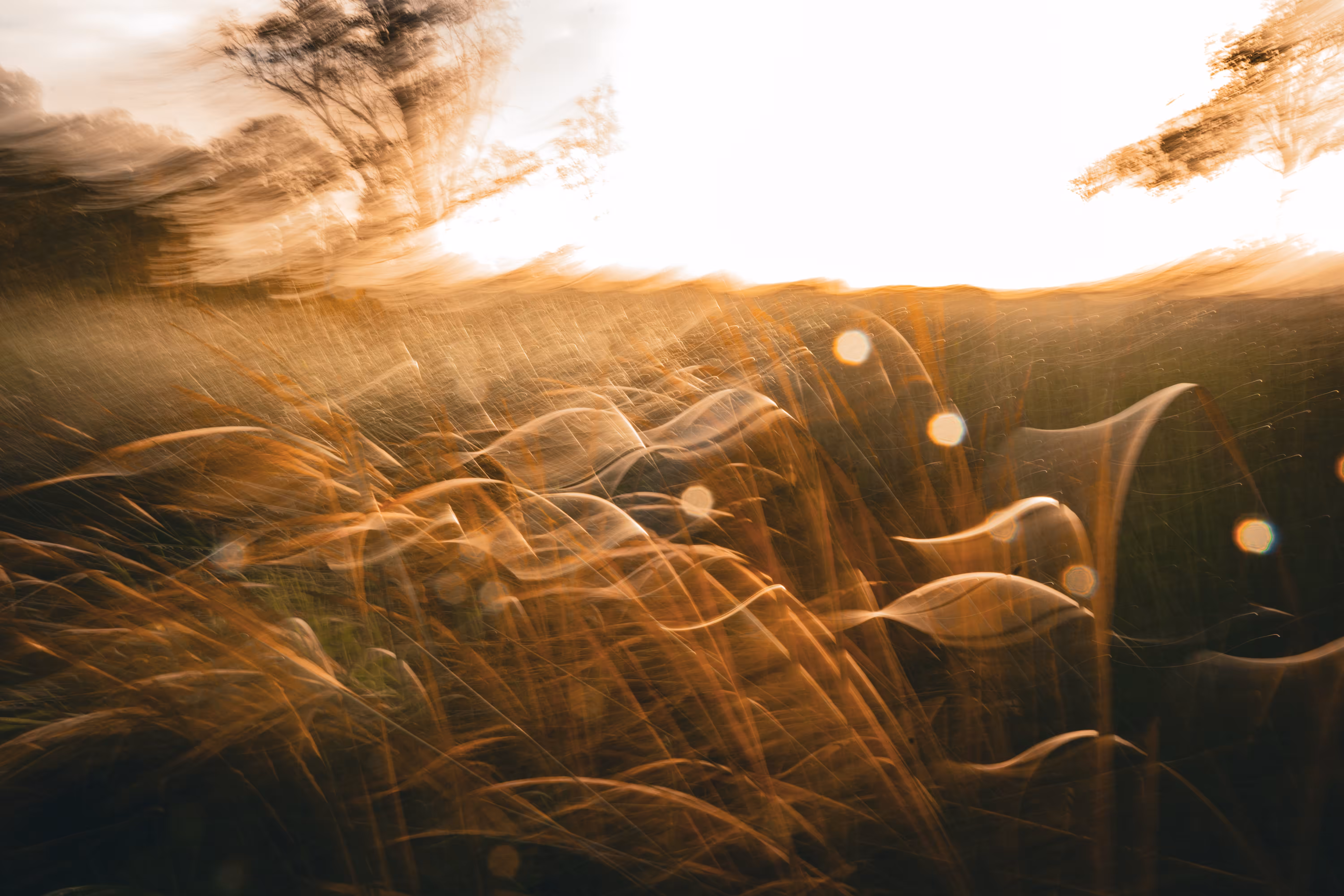 Gathering light