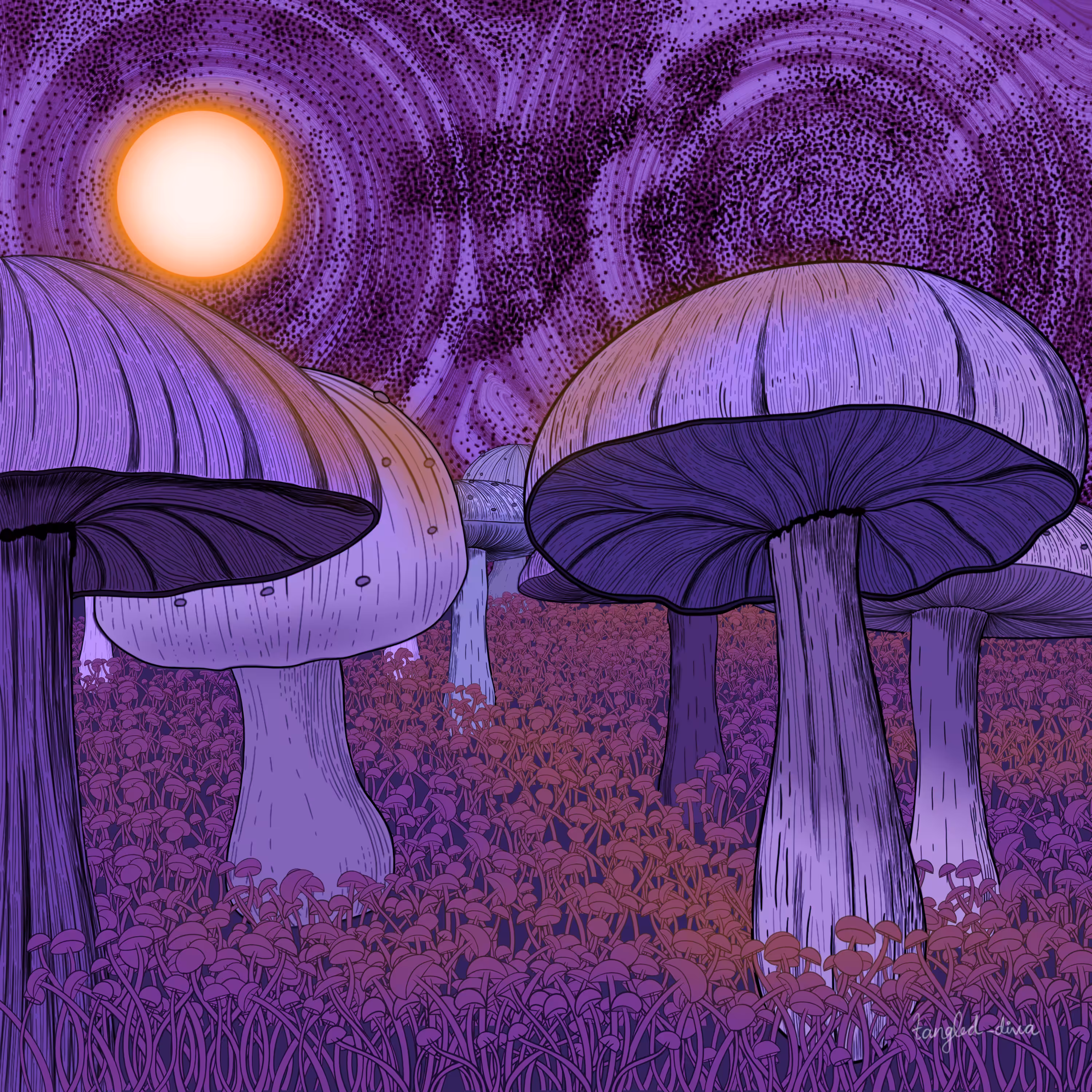 Moon Series