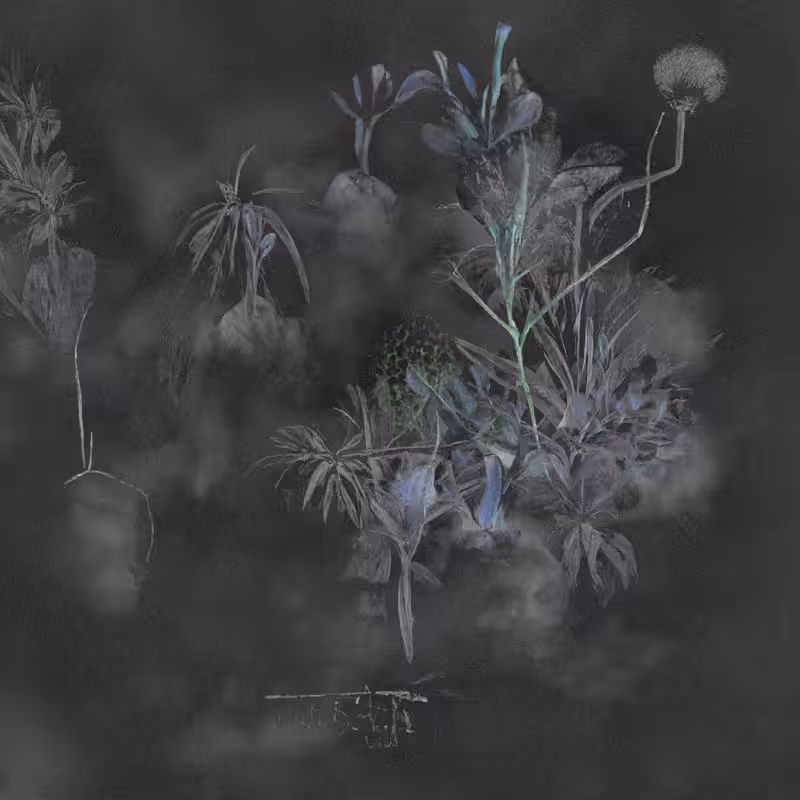 Hauntological Herbarium #42