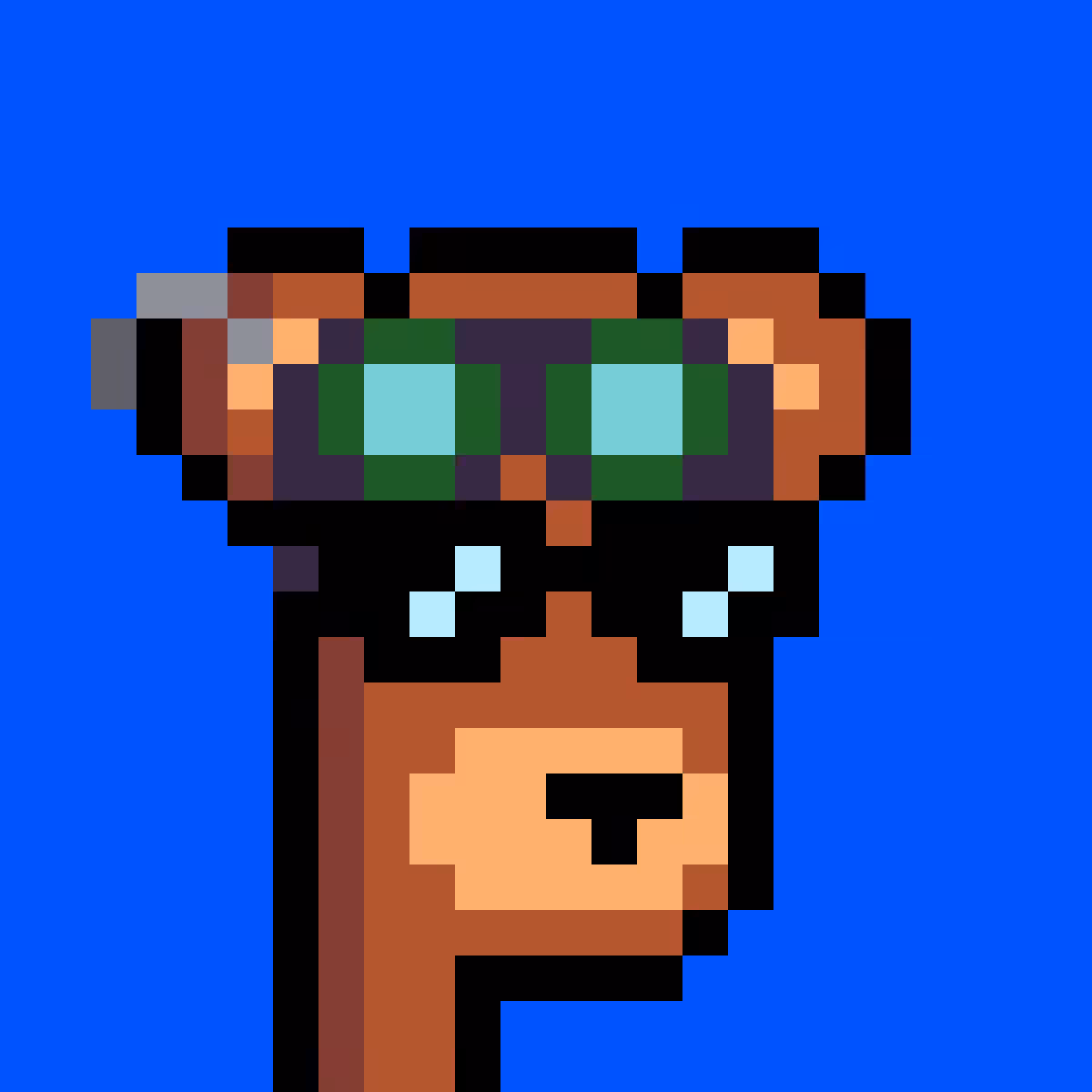 BearPunks #1634