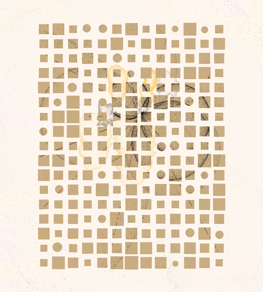 Generacci #124