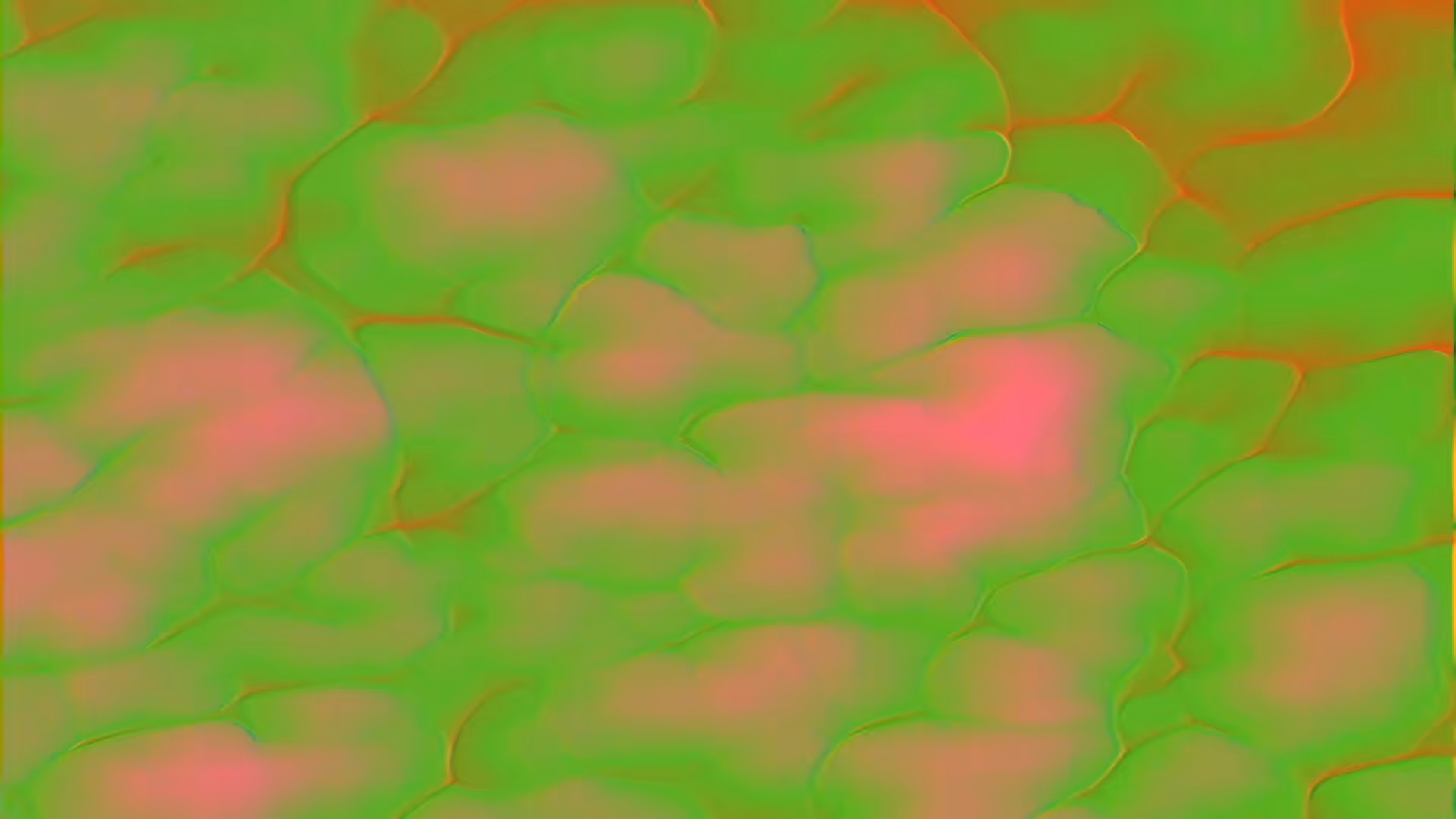 COLOR FLOWS #13
