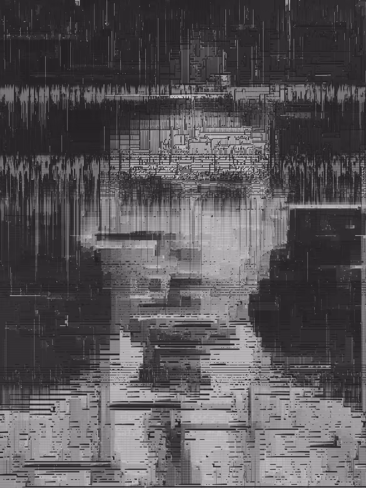 glitch portrait 14