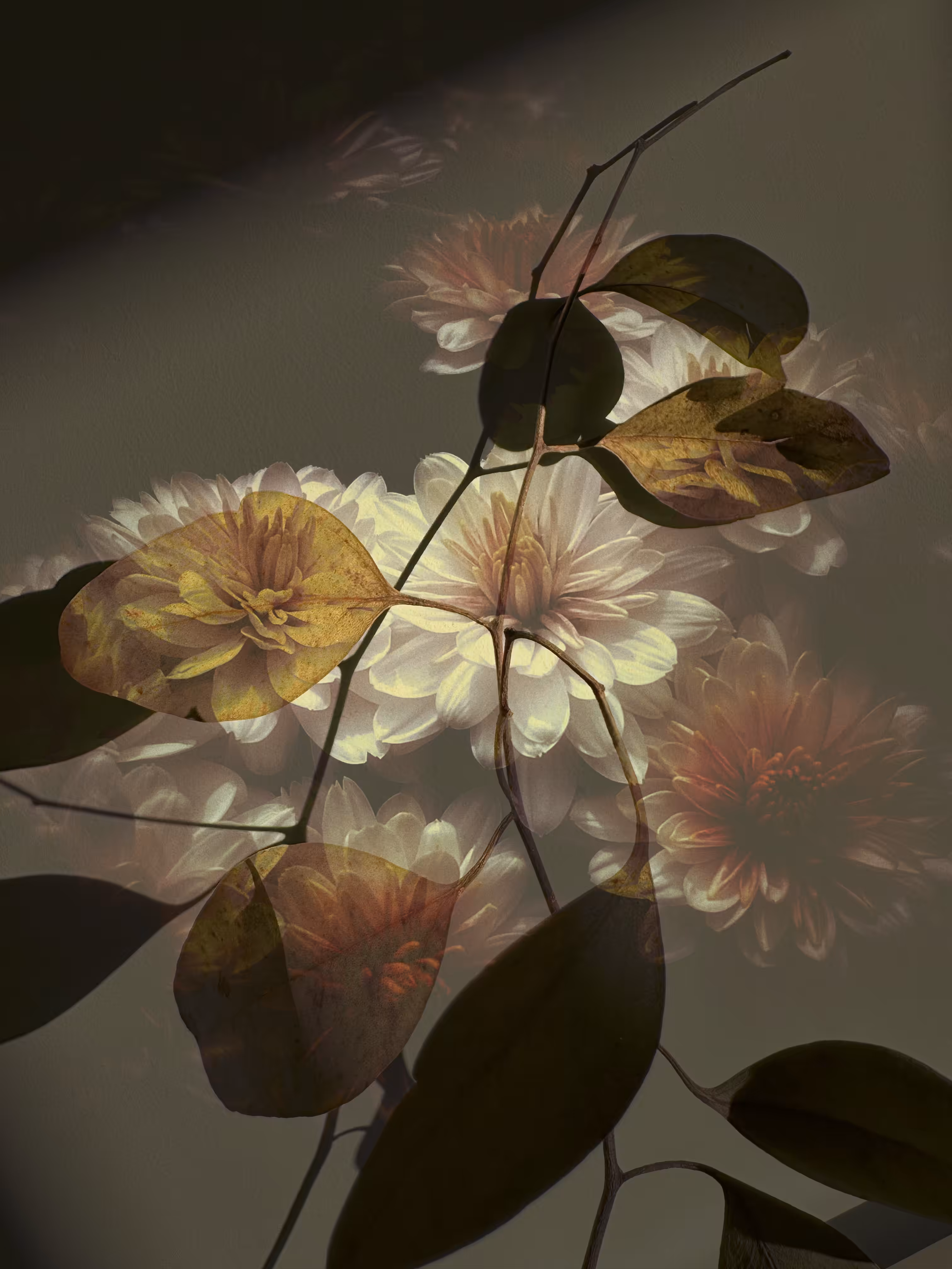 Shadows of You