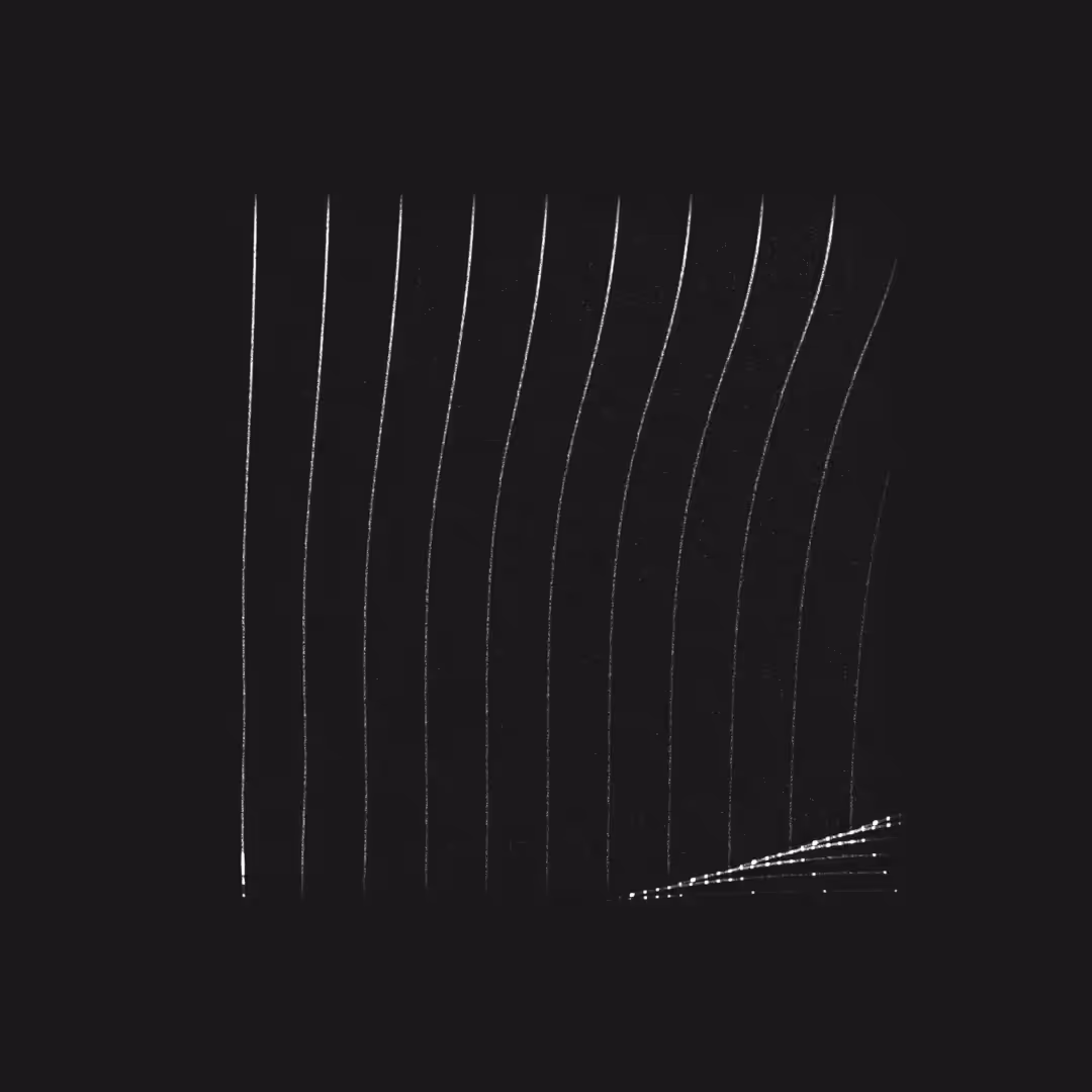 Rodeo posts: La Danse Des Lignes