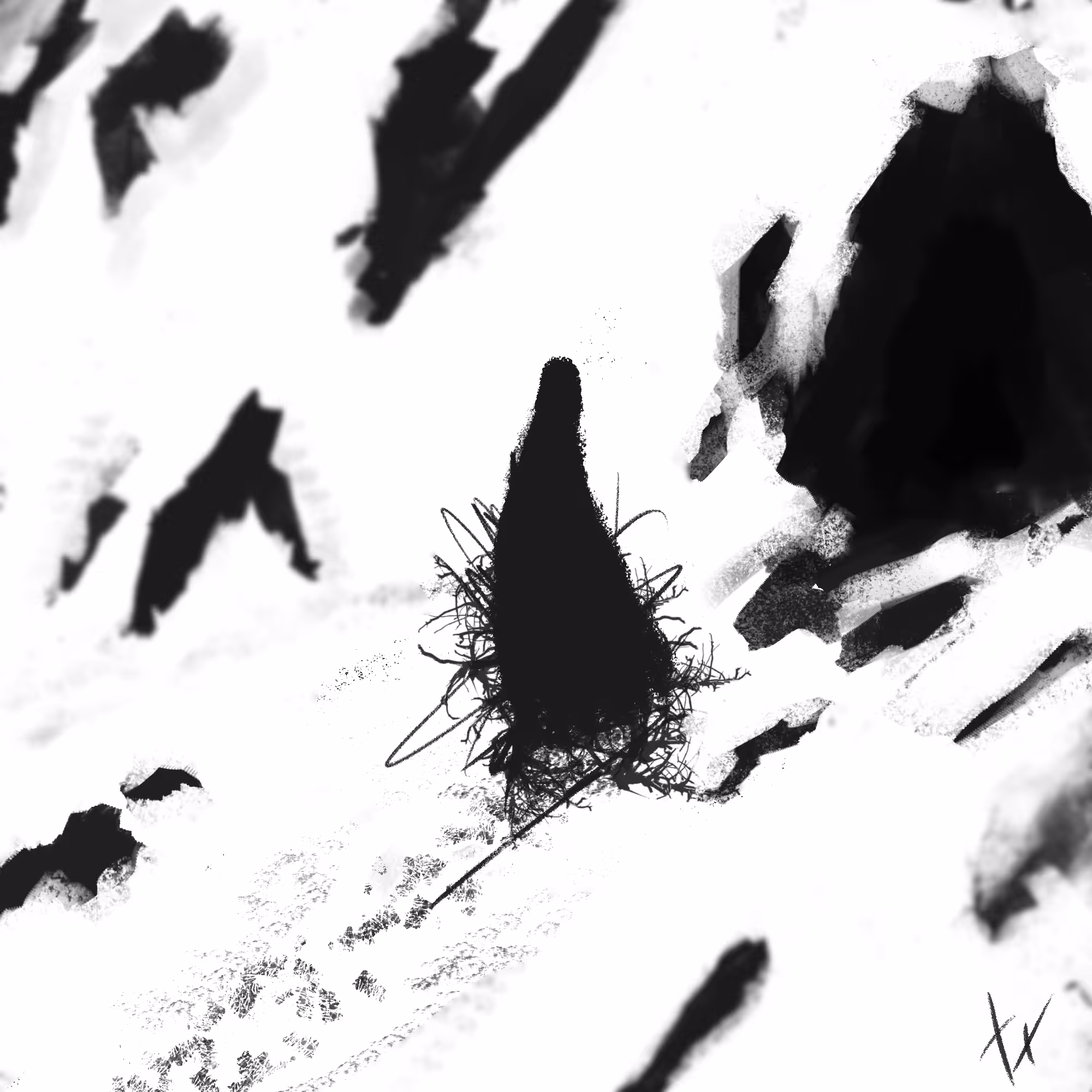 Tundra