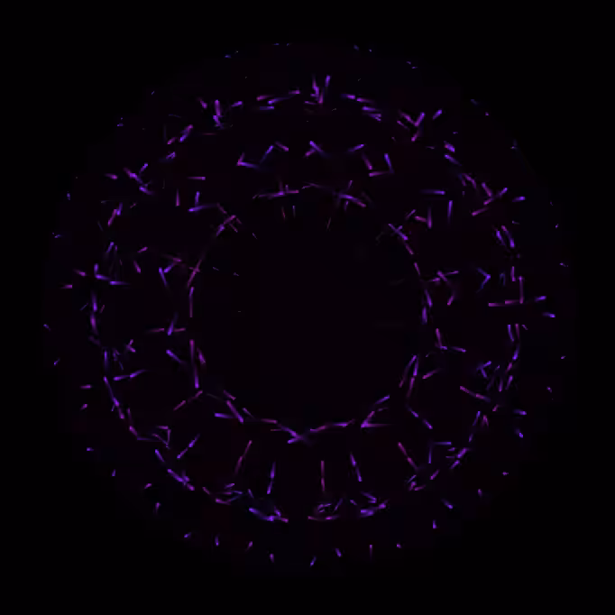 particles n.02