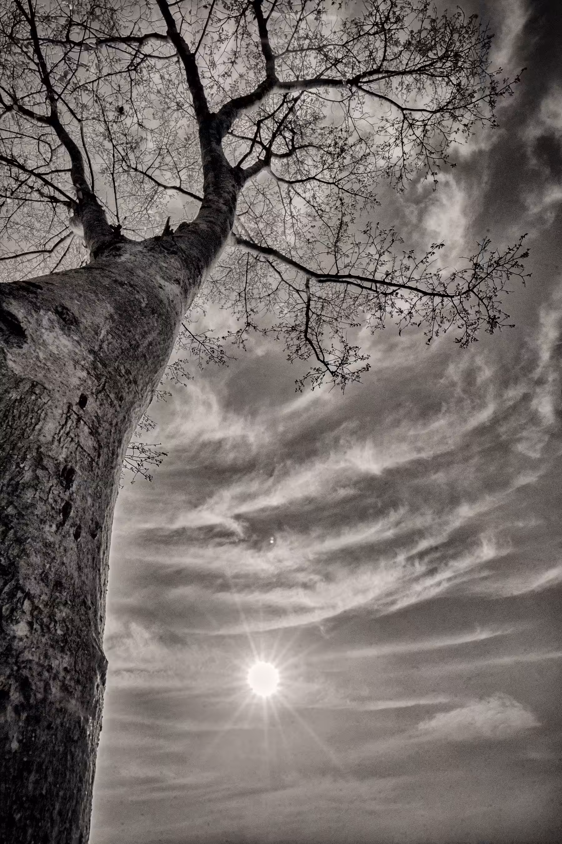 The Sunset Story