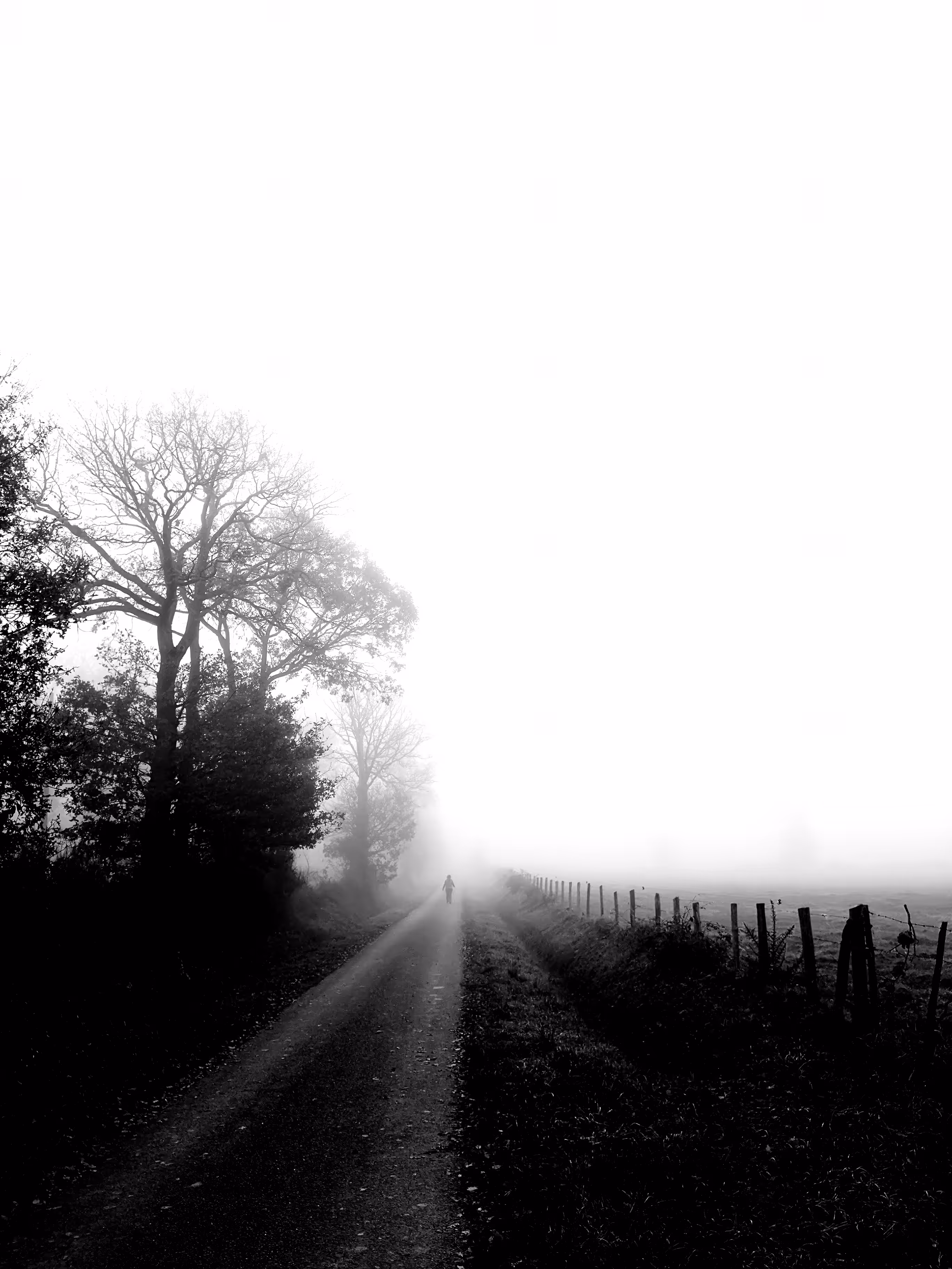 You will walk alone part II