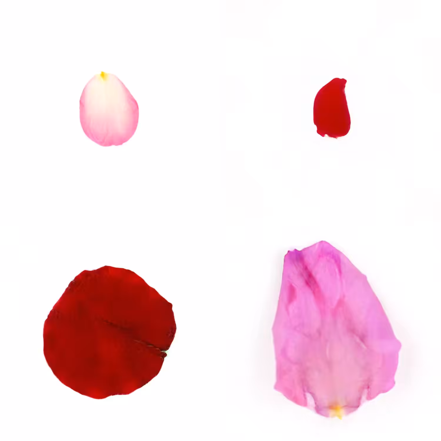 Infinite Petals 2x2#20342