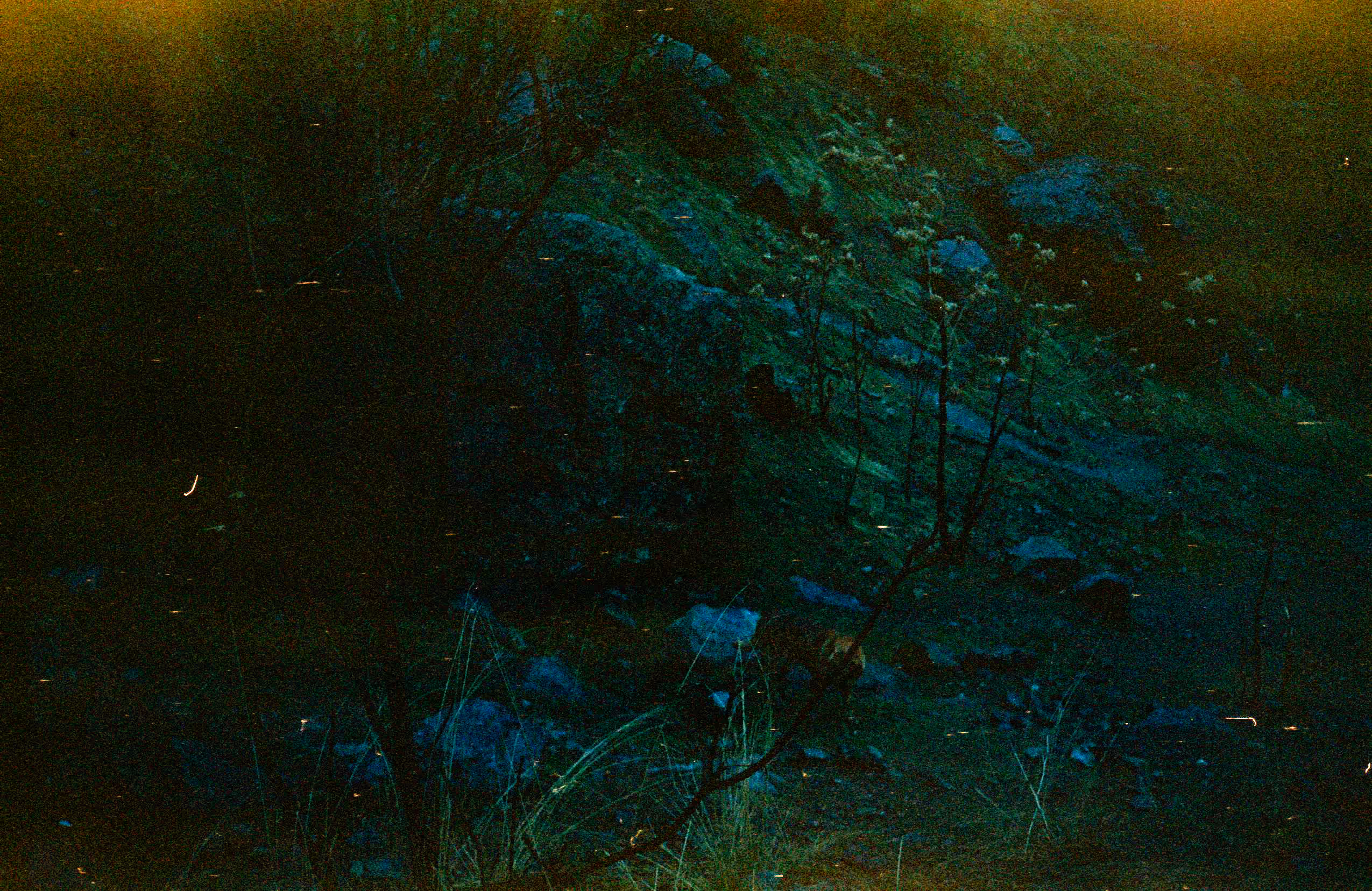 "Green Grief"