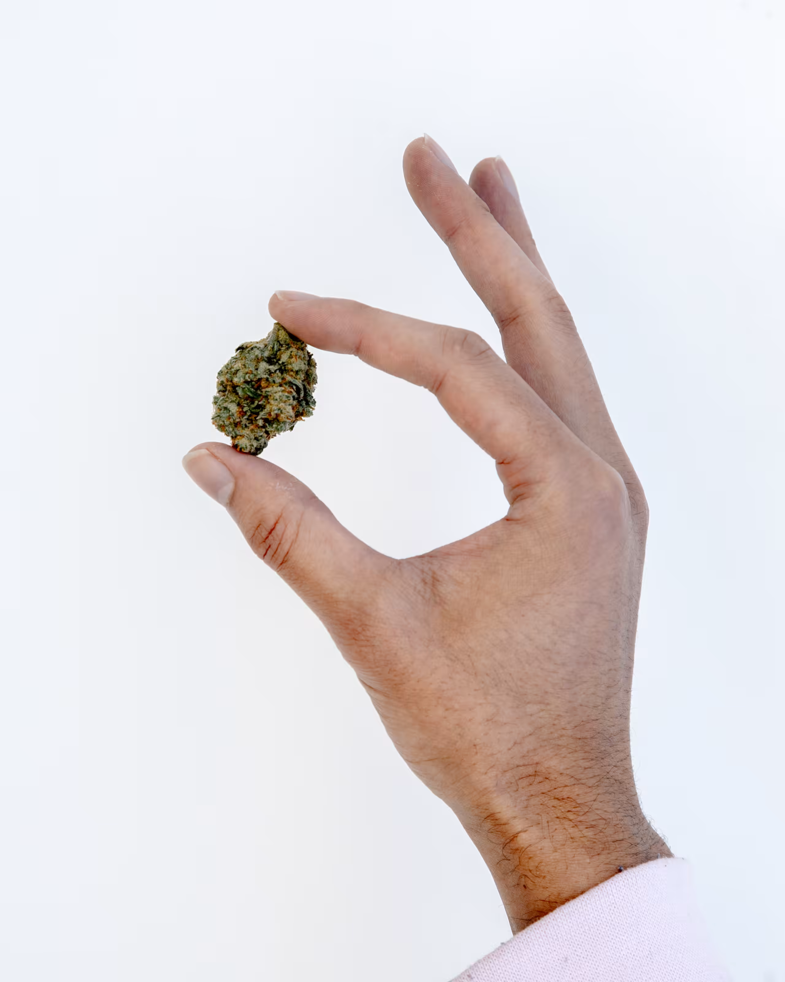 MIDS