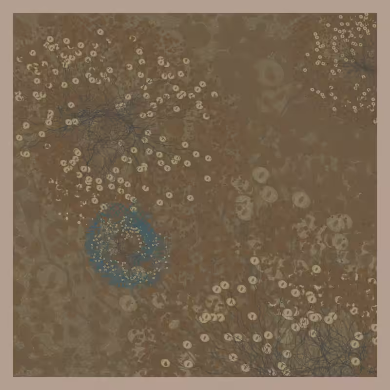 Jellyfish #82