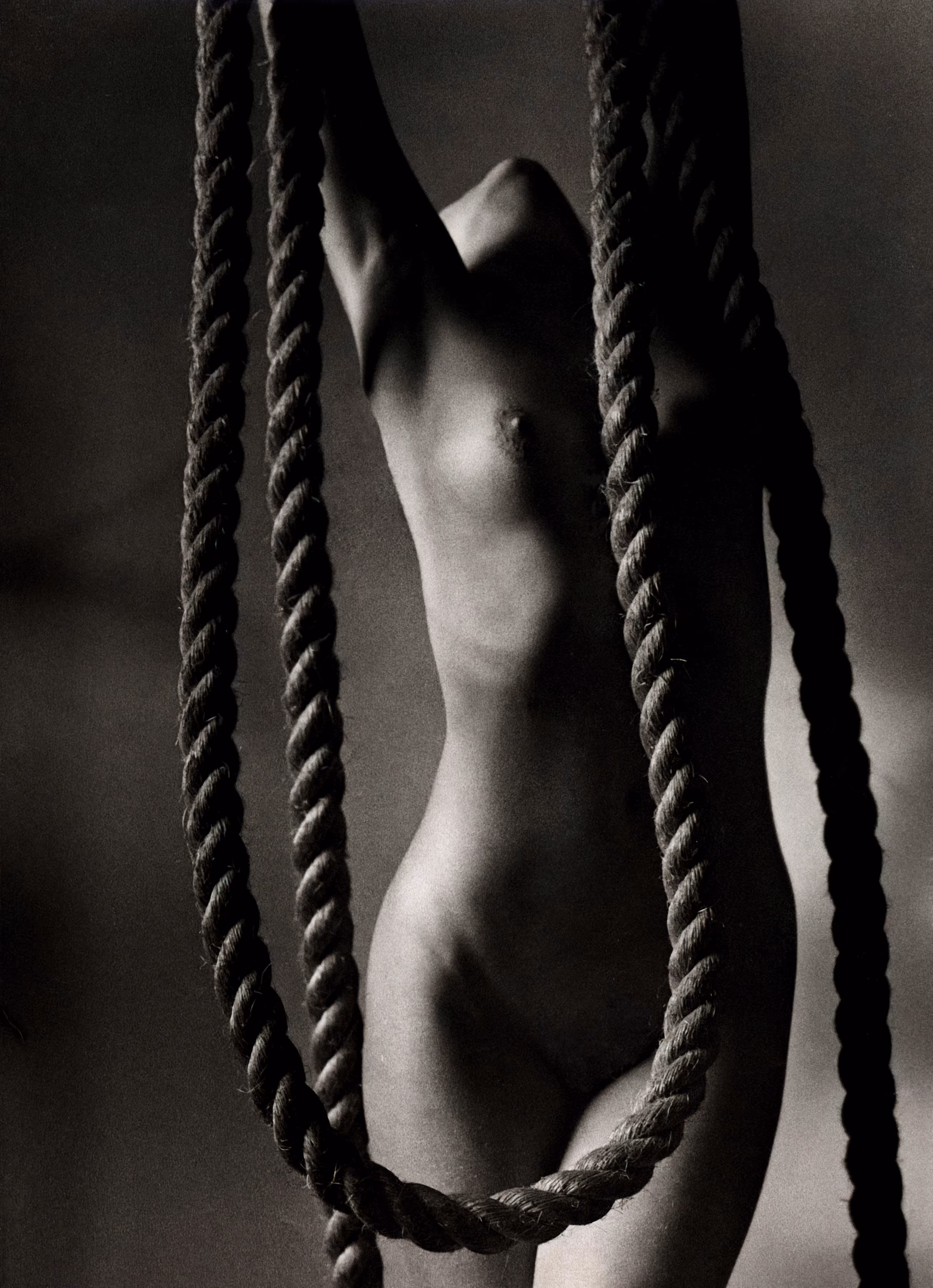 FineArtKrypto_Torso#7-TheRopes