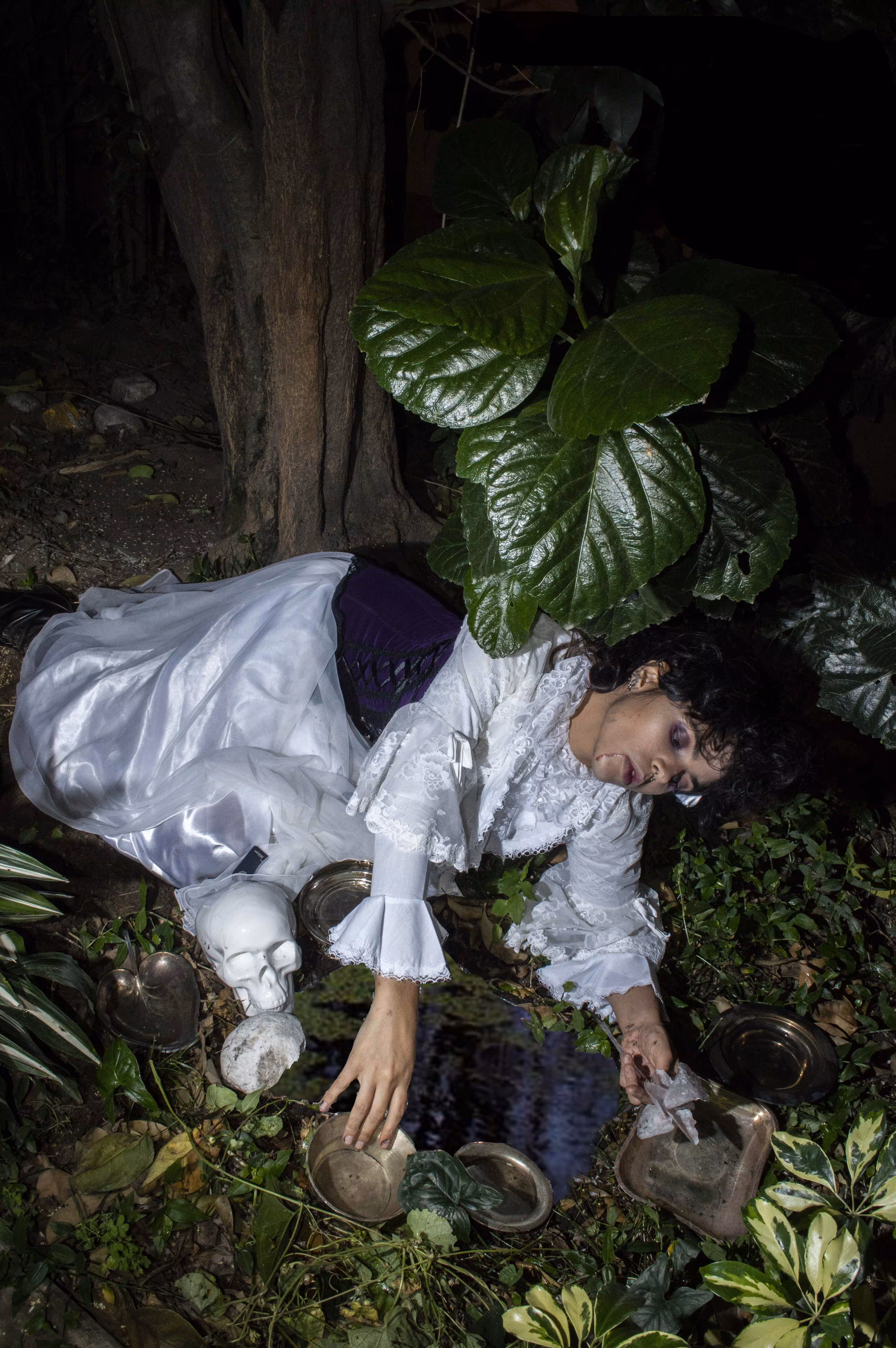 narcissus and the vampire