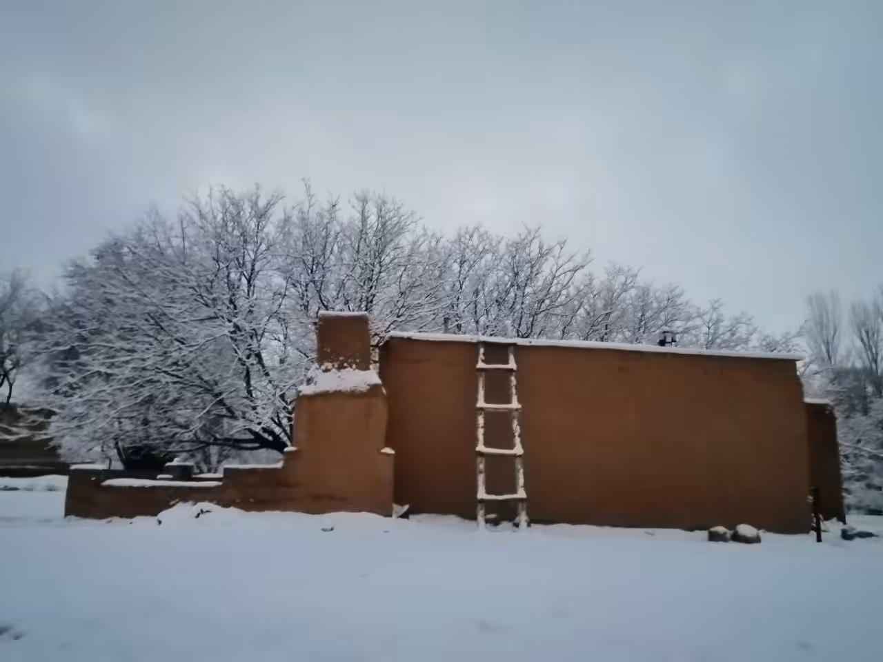 cold house
