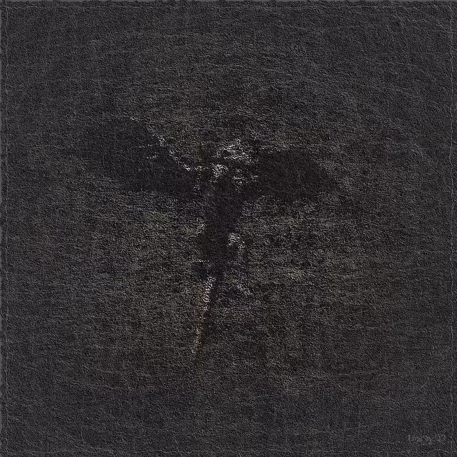 The Spirit of Dragon #2