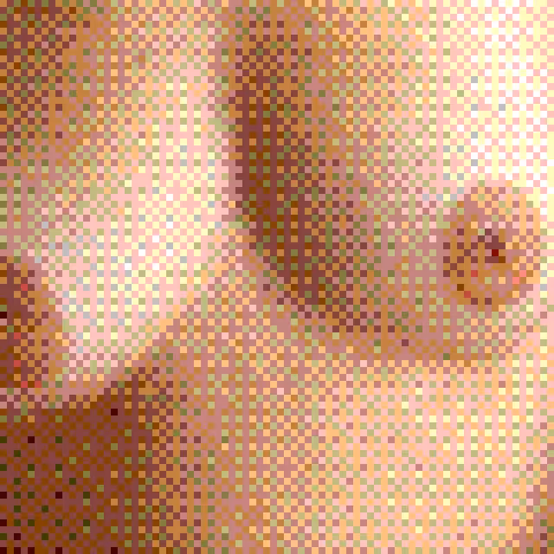 Censored Fragments 1