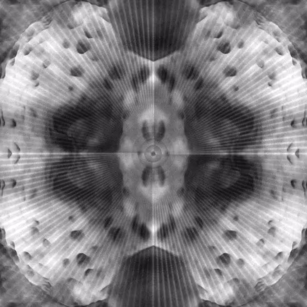 biomatrix brain