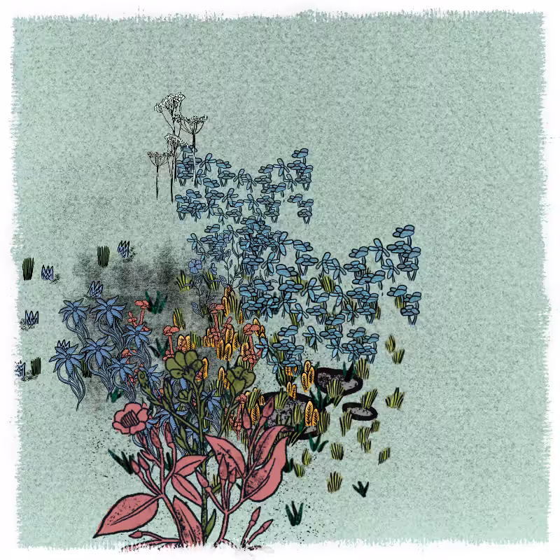 Gardens  #116