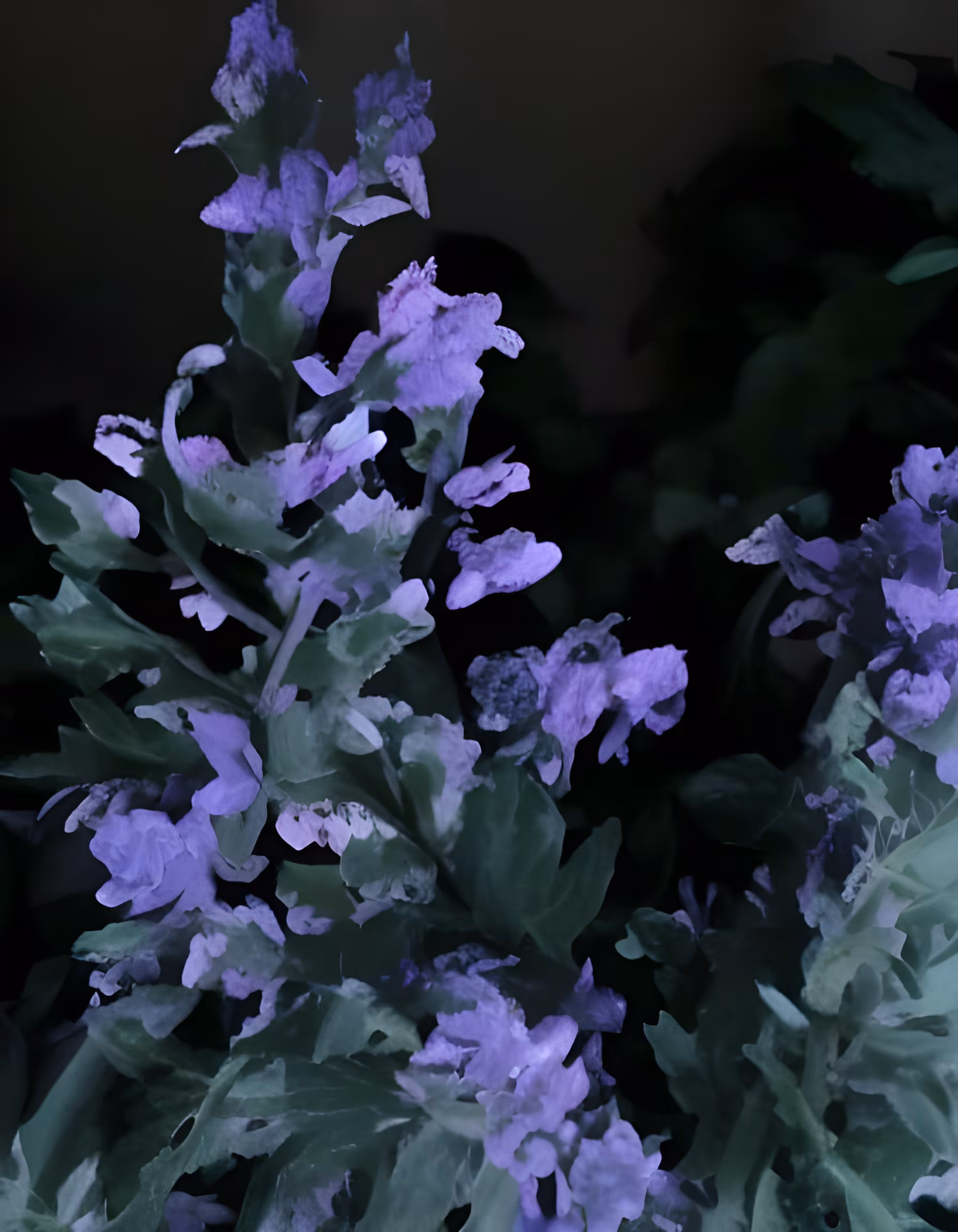 Spring colors 