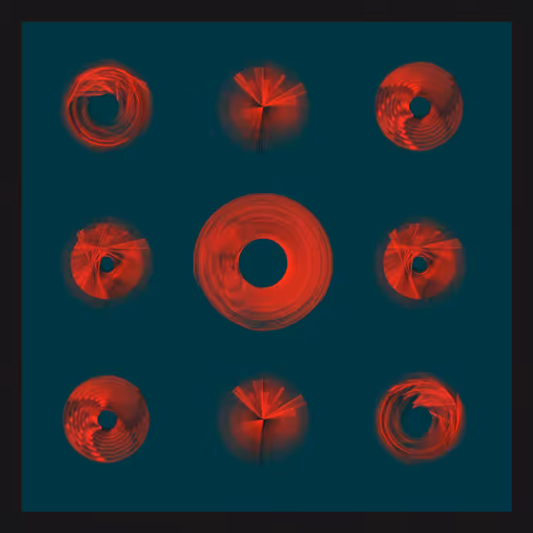 Spiny Spinners #35