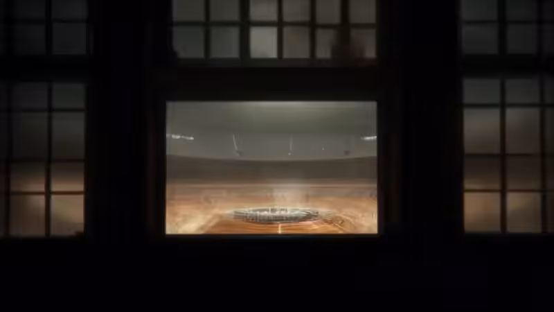 DX01: SINGULARITY 34333