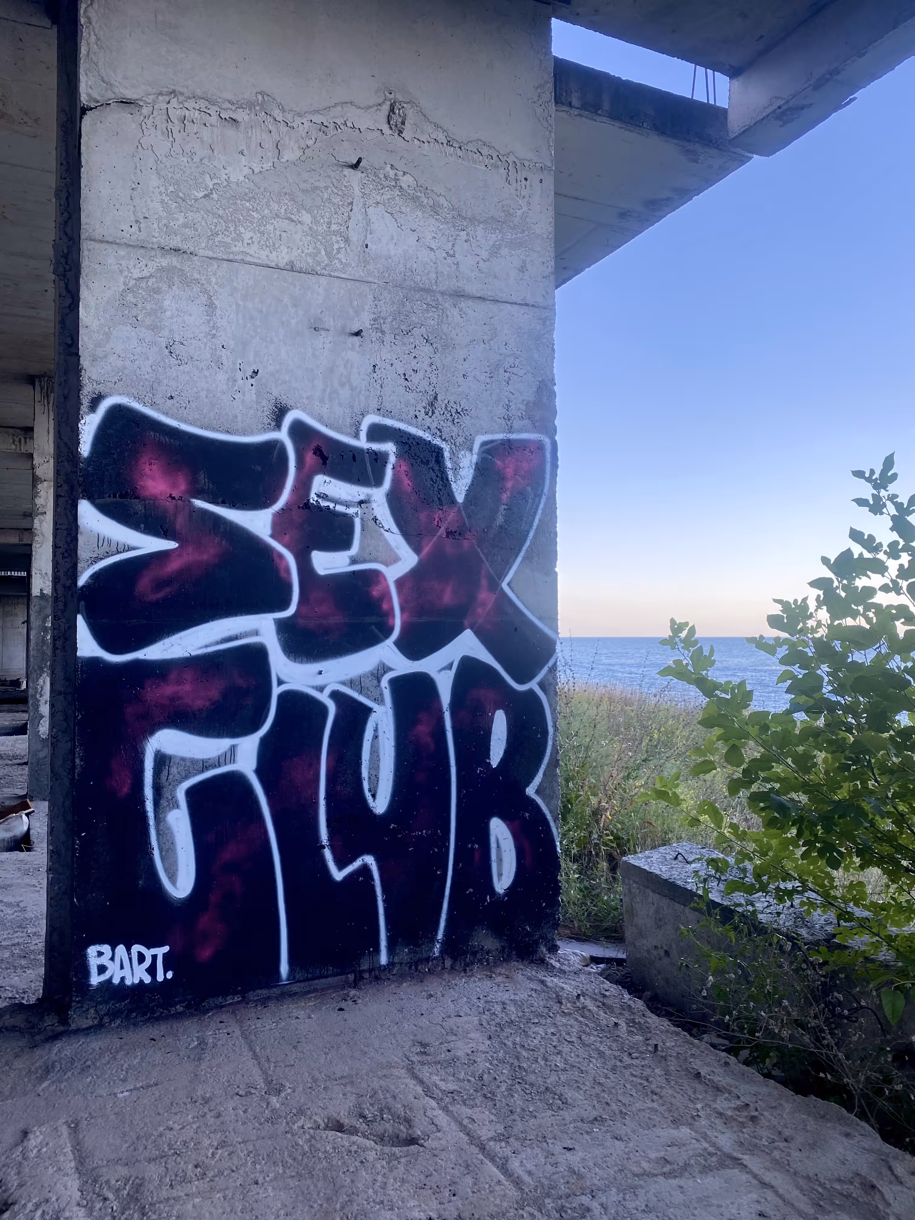 S.E.X. Club