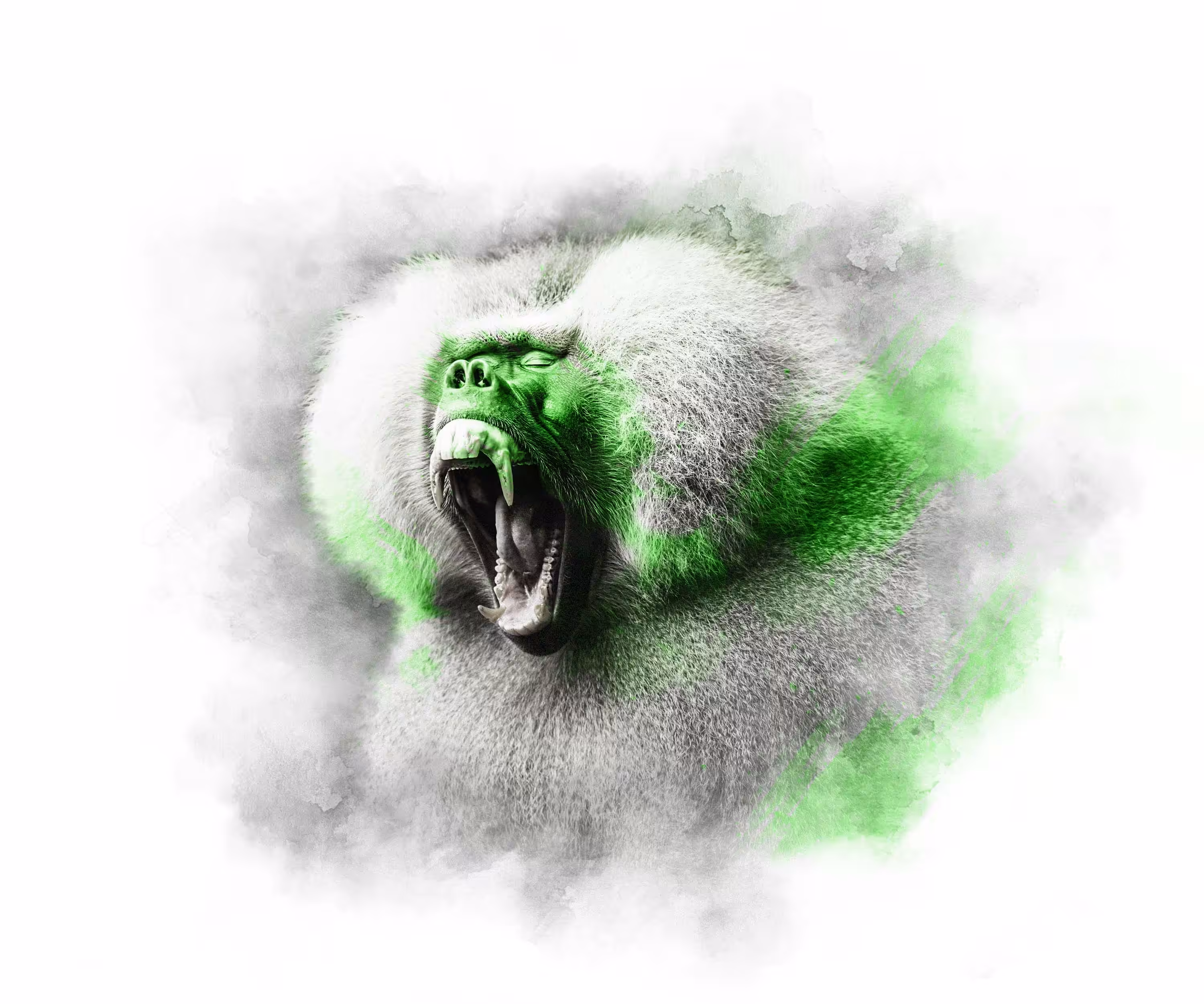 The Animal Kingdom Collection: LIME SERIES - BABOON