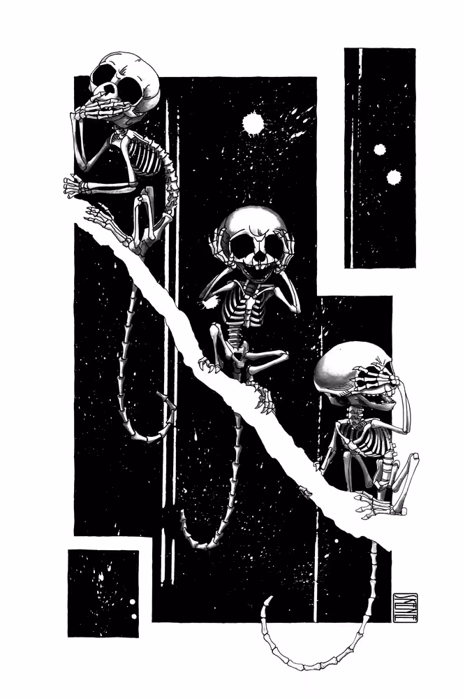 "The 3 Wise Marmosets", Marmoset Skeletons Study