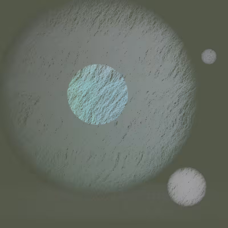 Orbit #7