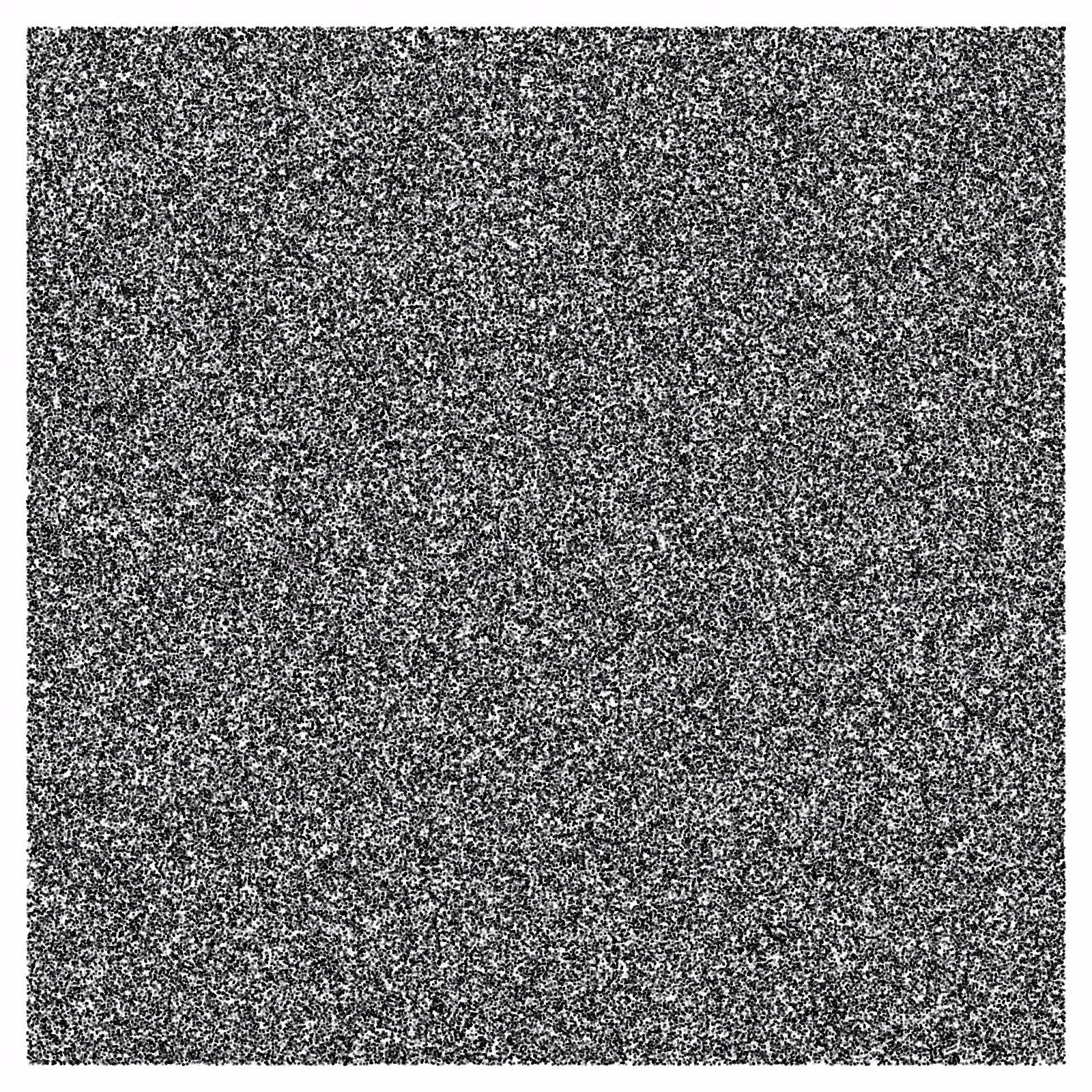 Noise #22