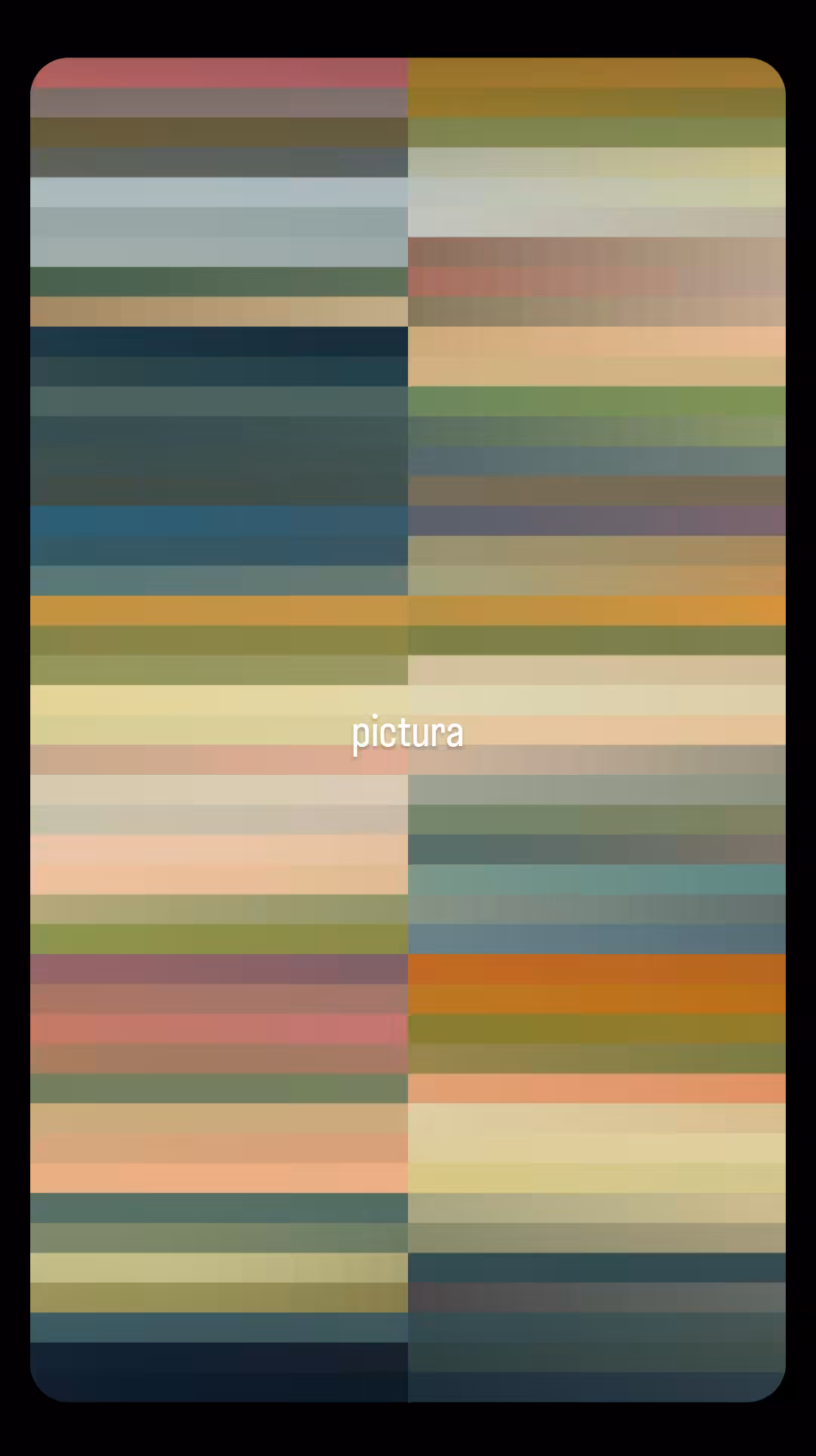 pictura