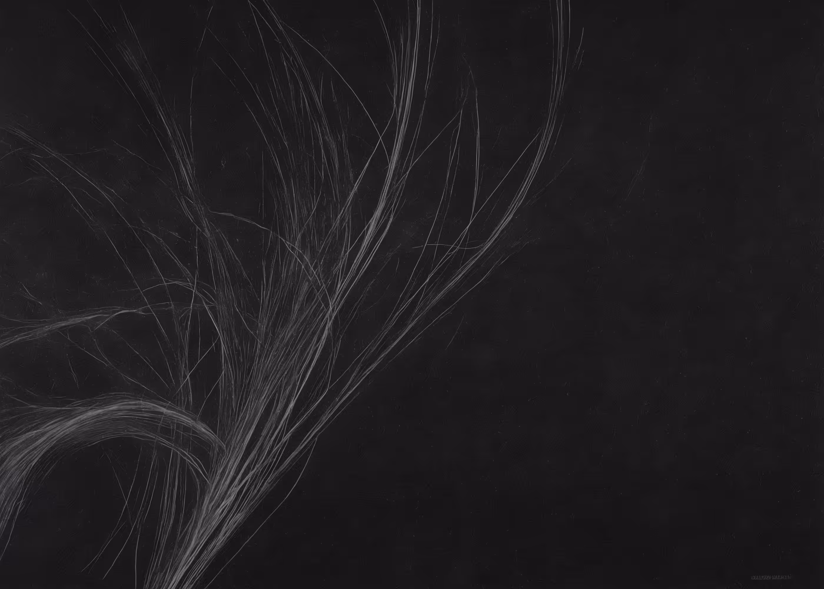 Lumens #453