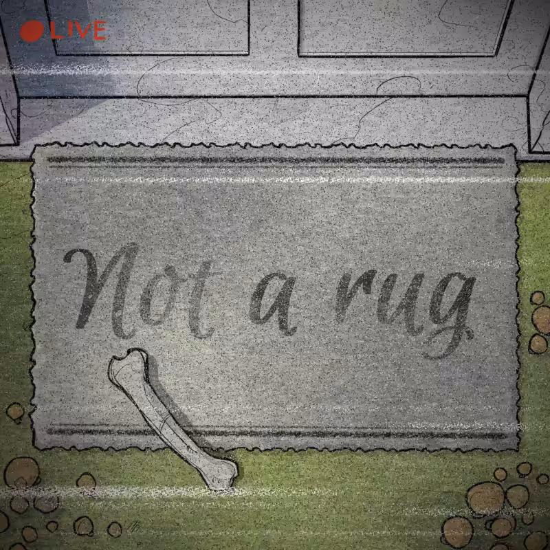 NOT A RUG #187