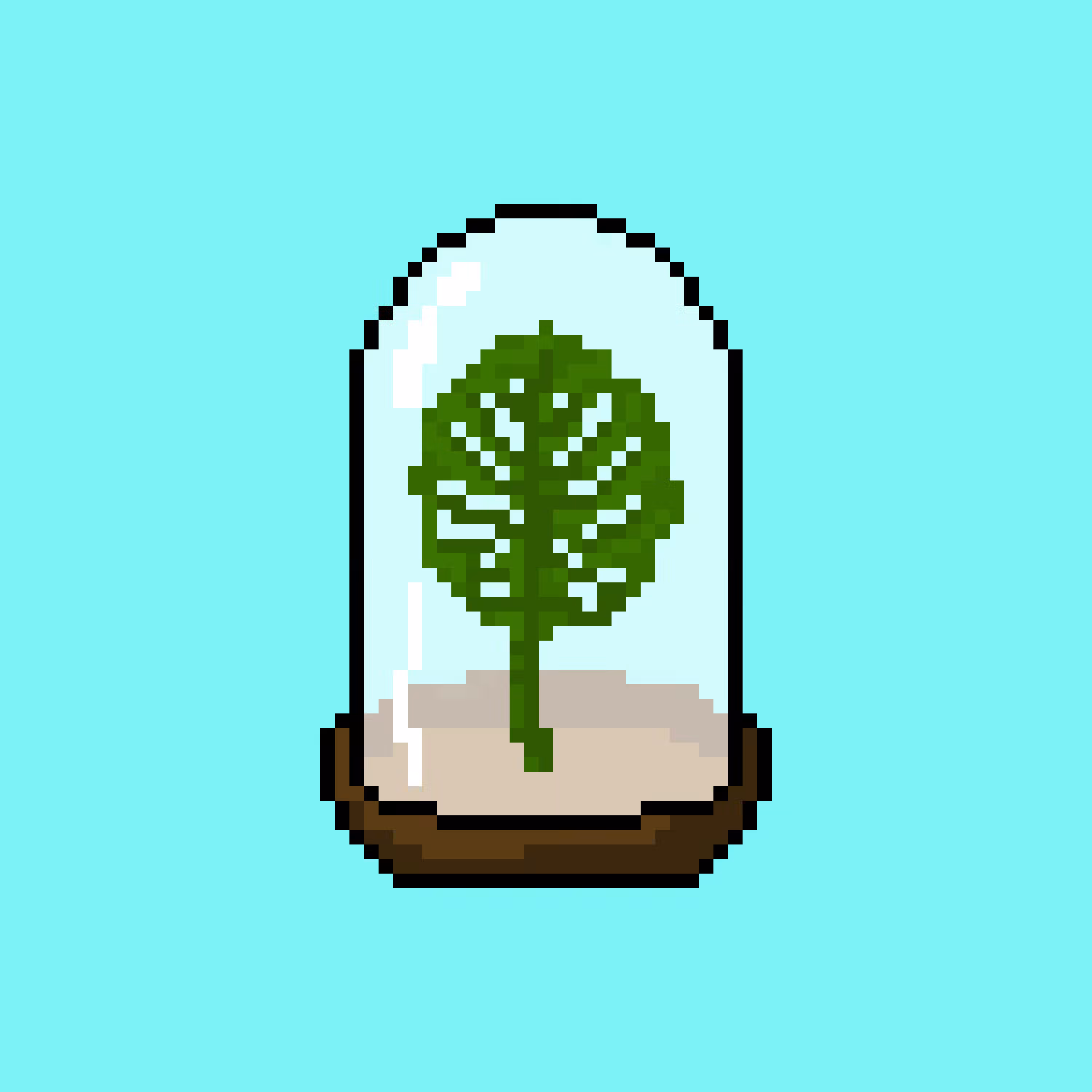 Dome 15 - Monstera Deliciosa