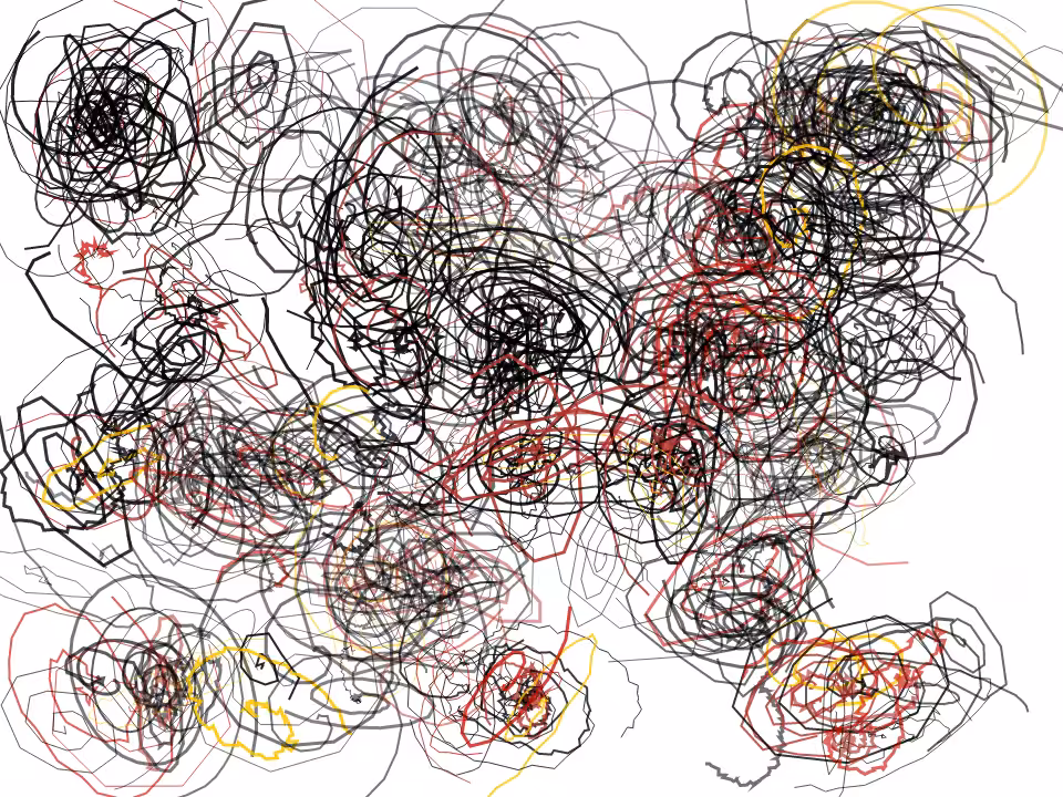 Bangert Hair Spirals #2