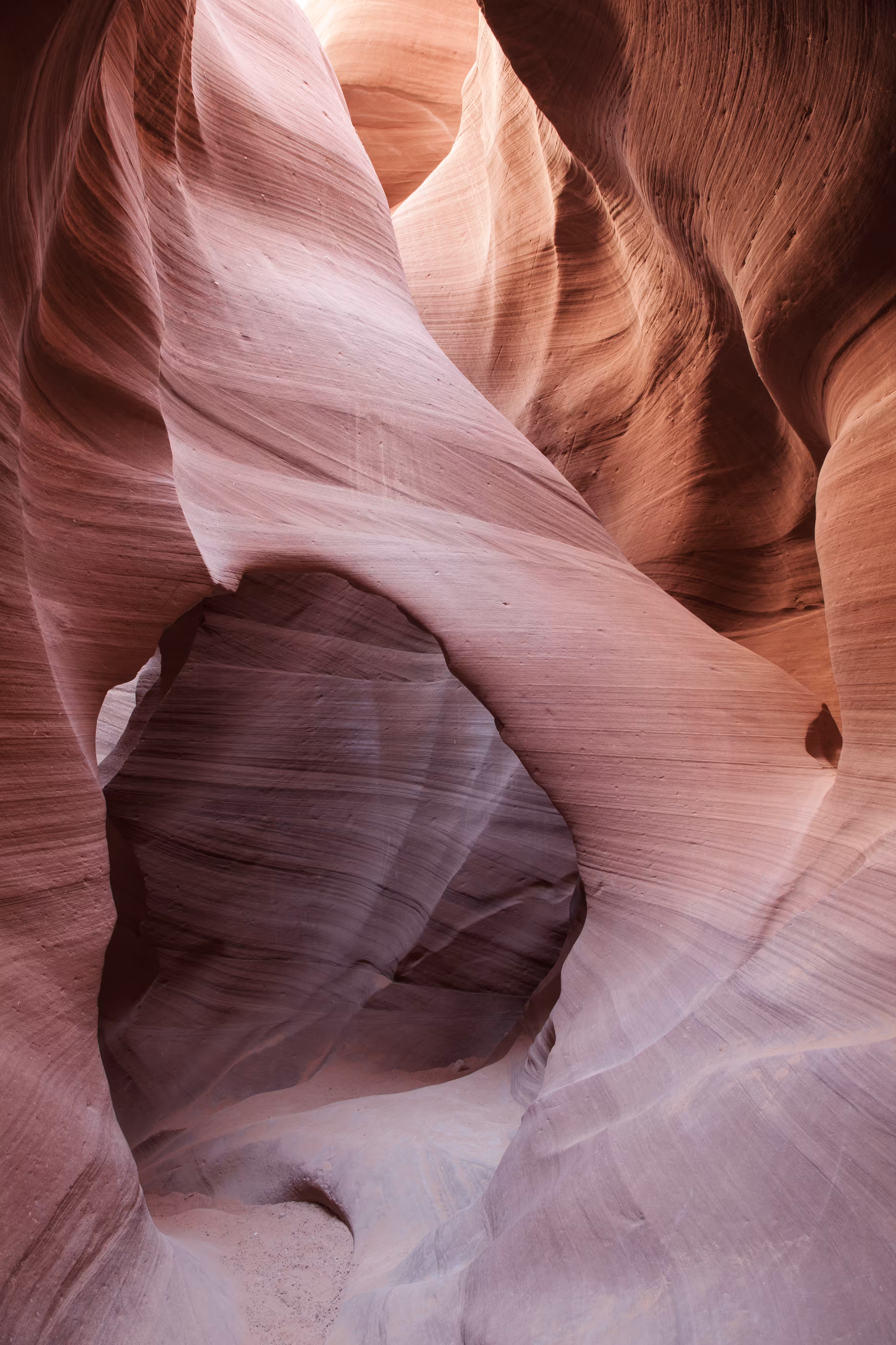 Soft Rose Canyon