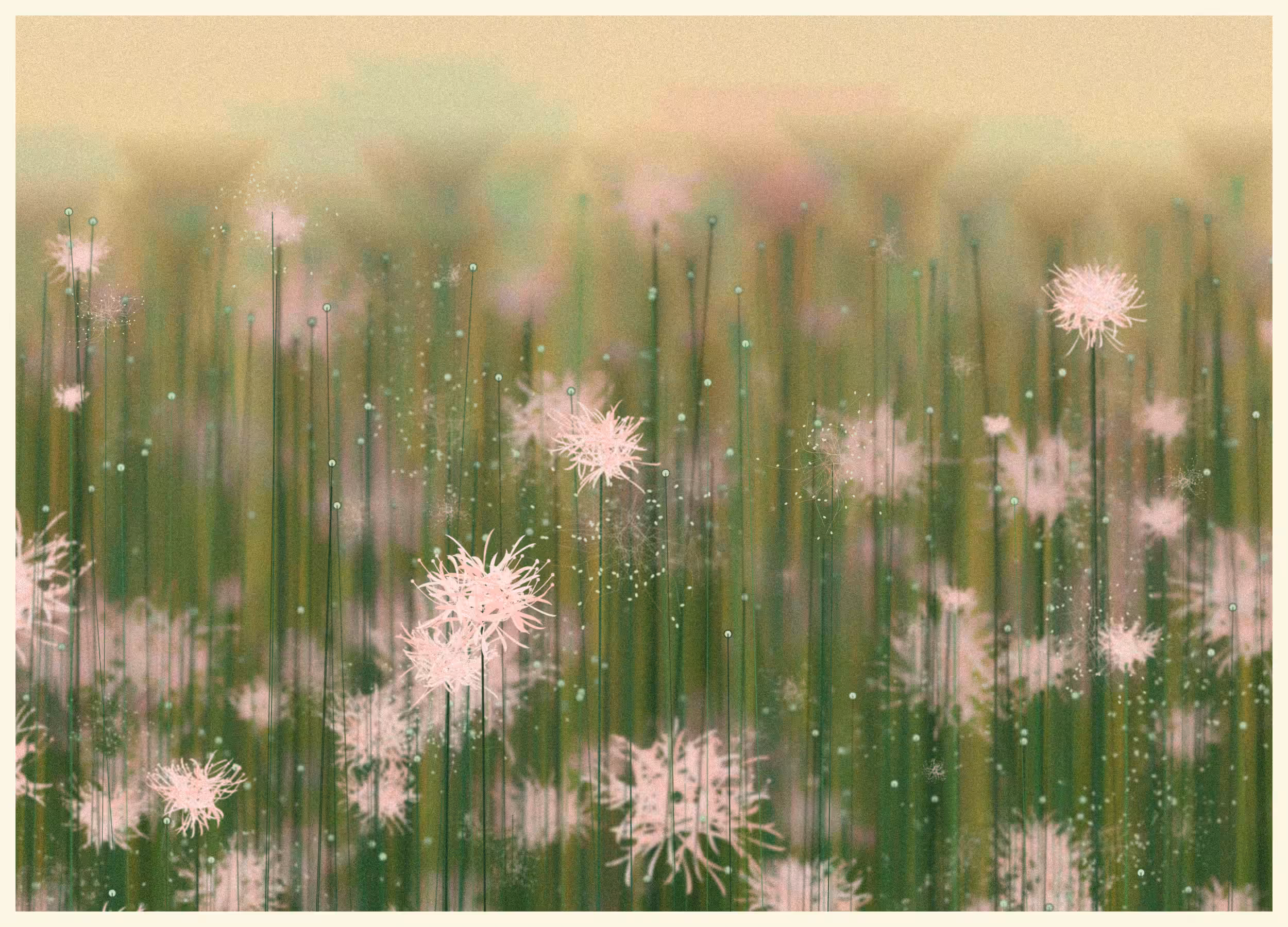 Serene Garden #144
