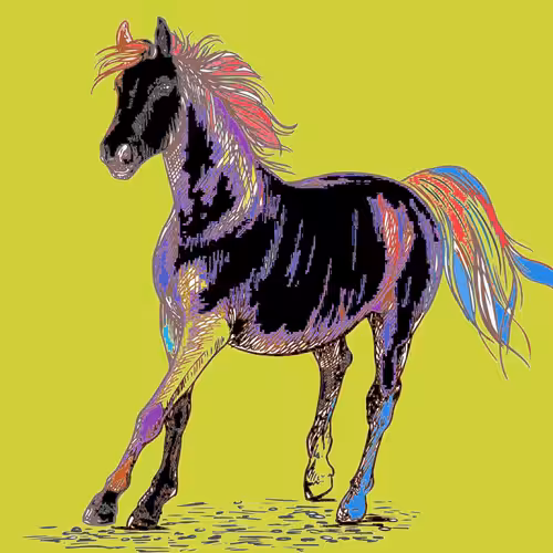 Horse 3