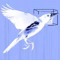 #6 - bird 