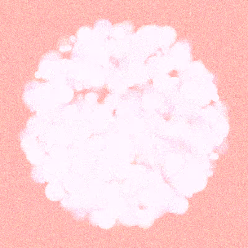 Furbol #527