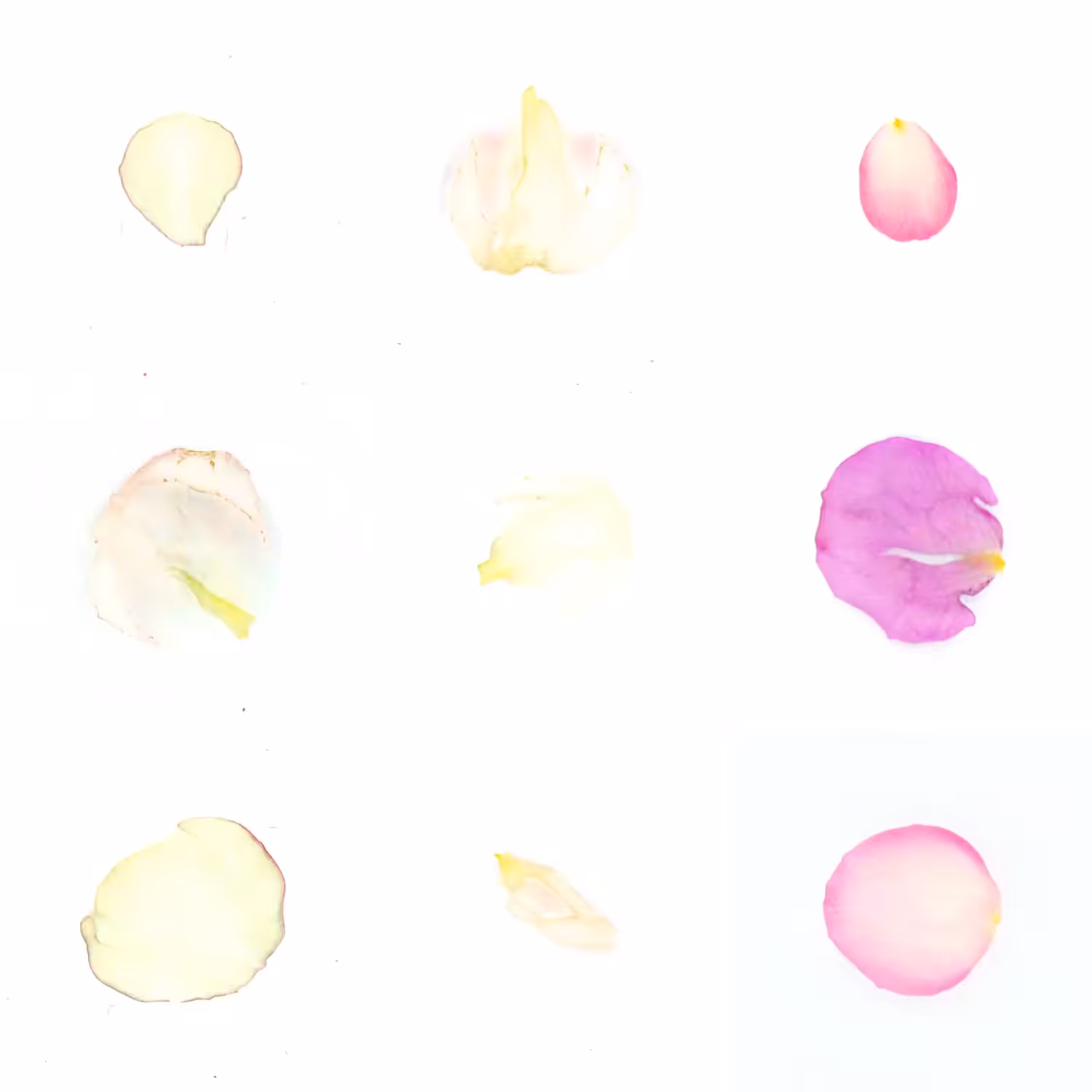 Infinite Petals 3x3#3248