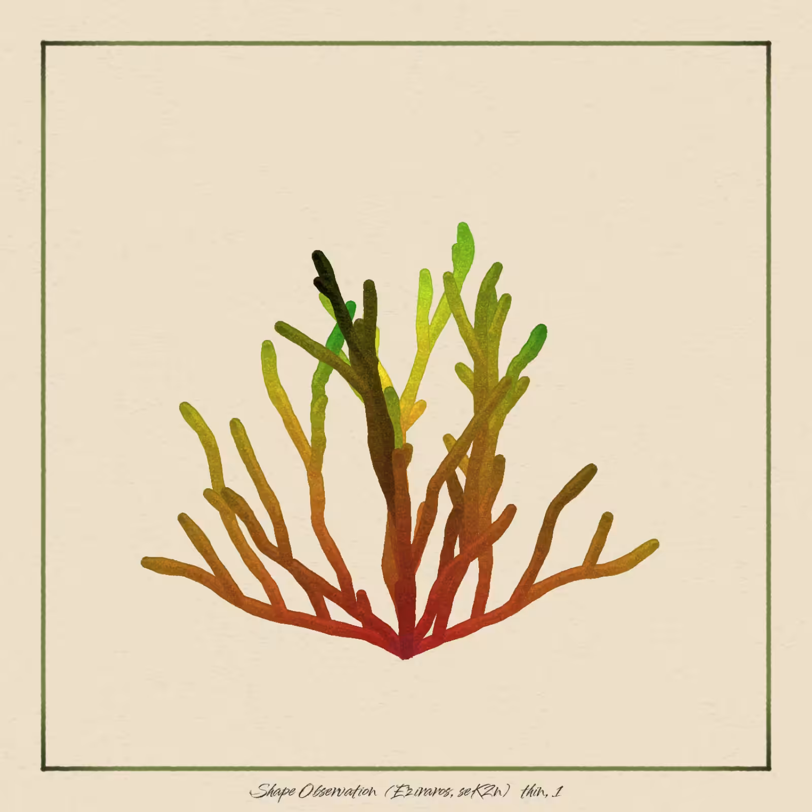 The Restoration Scheme: Shape Observation #25