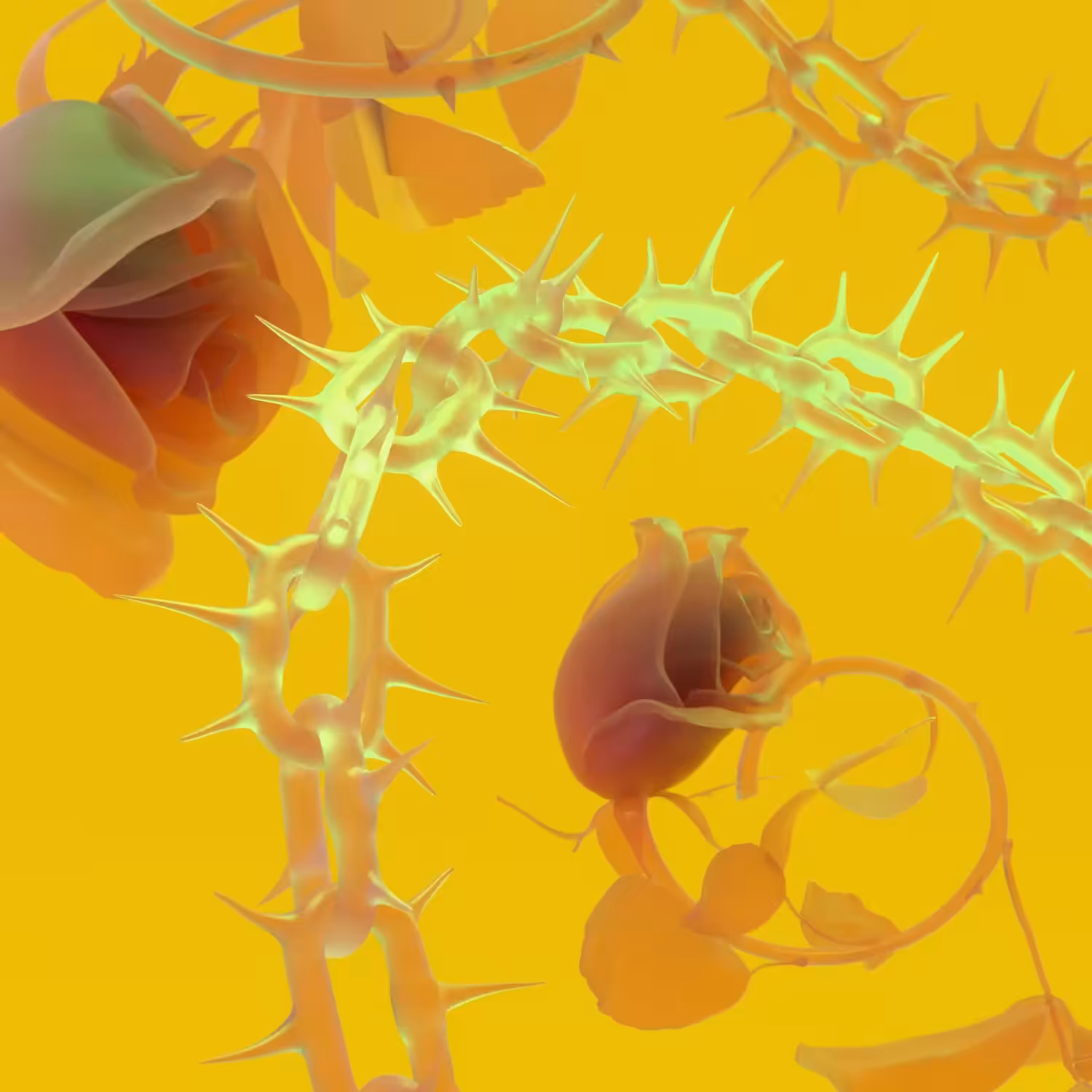 FLORAFENCE//