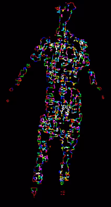Human Algorithm