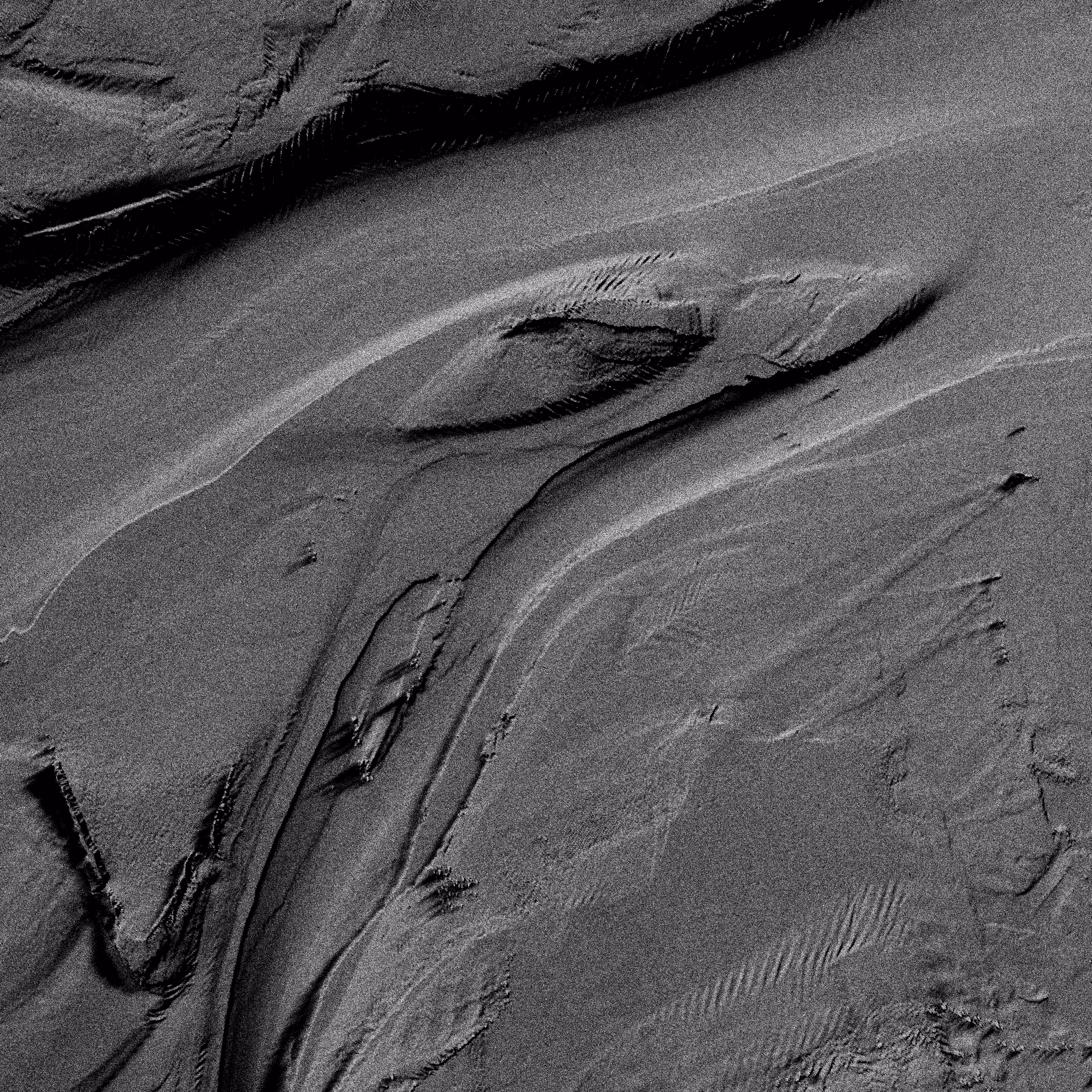 Exoplanet Draugr - Goosehead fork