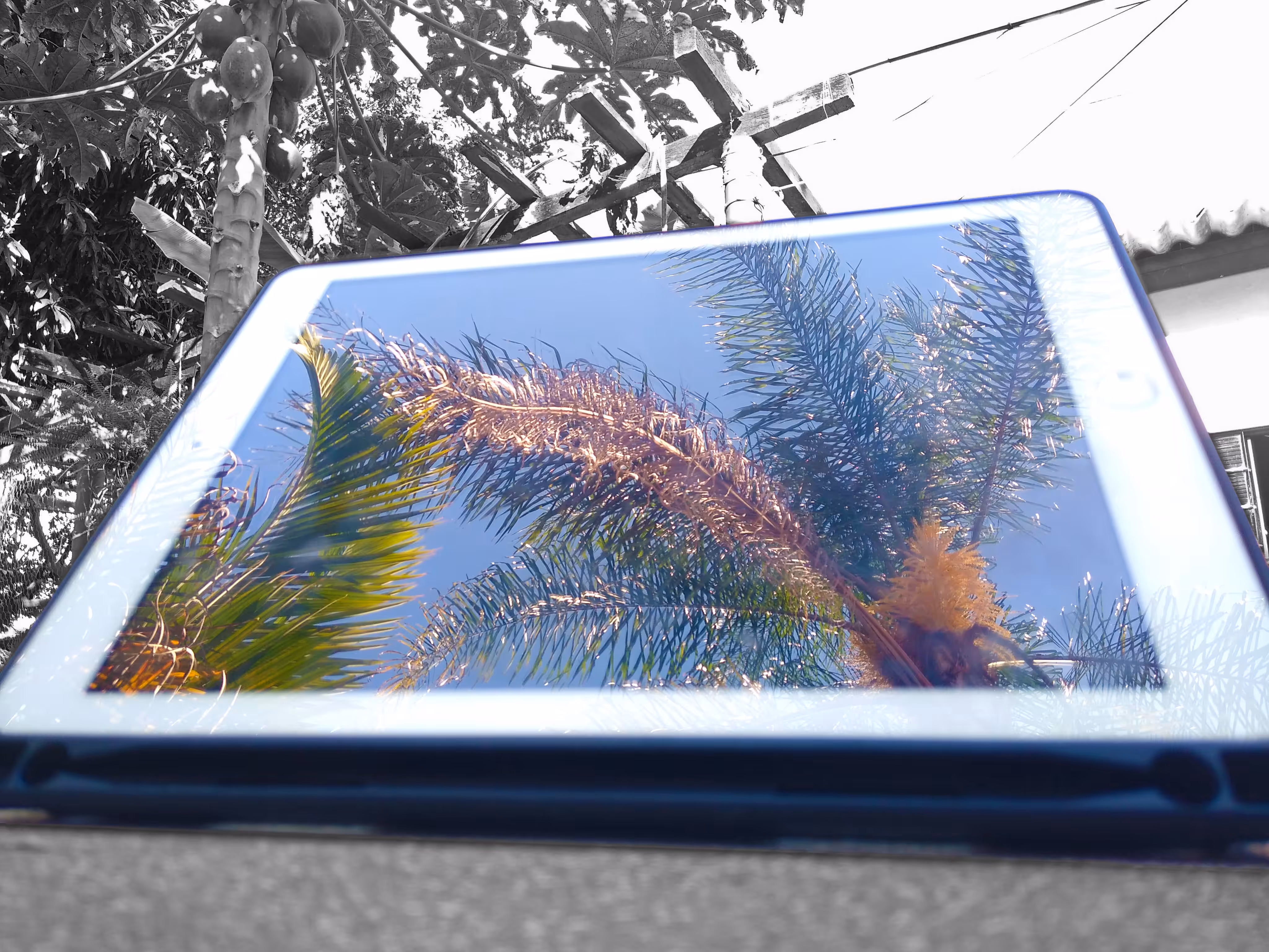 Live screen