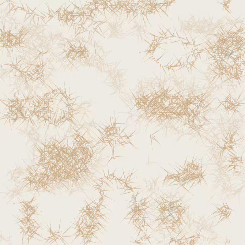 Petri 1500 #247